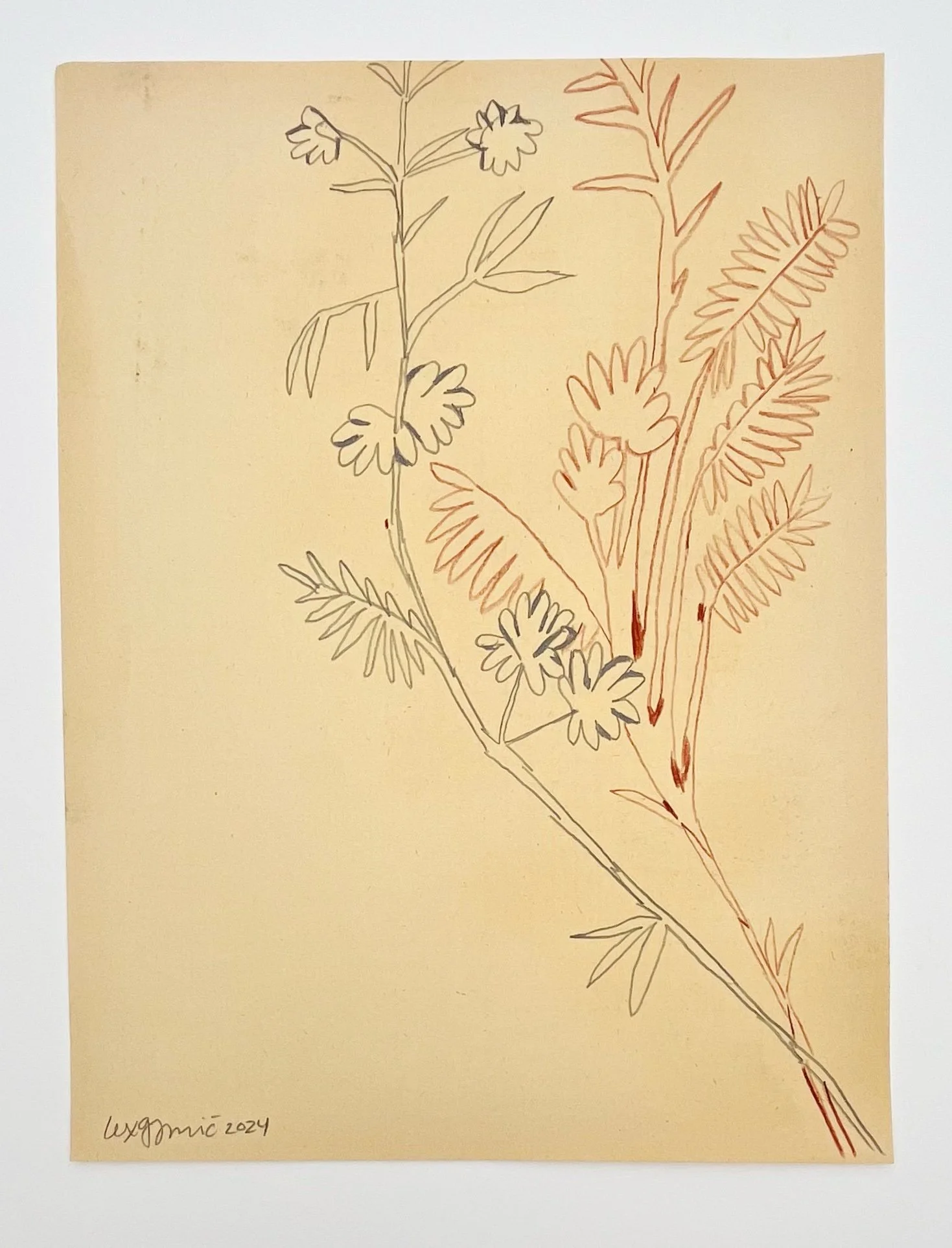  104  9x12"  Drawing on found paper  2024 