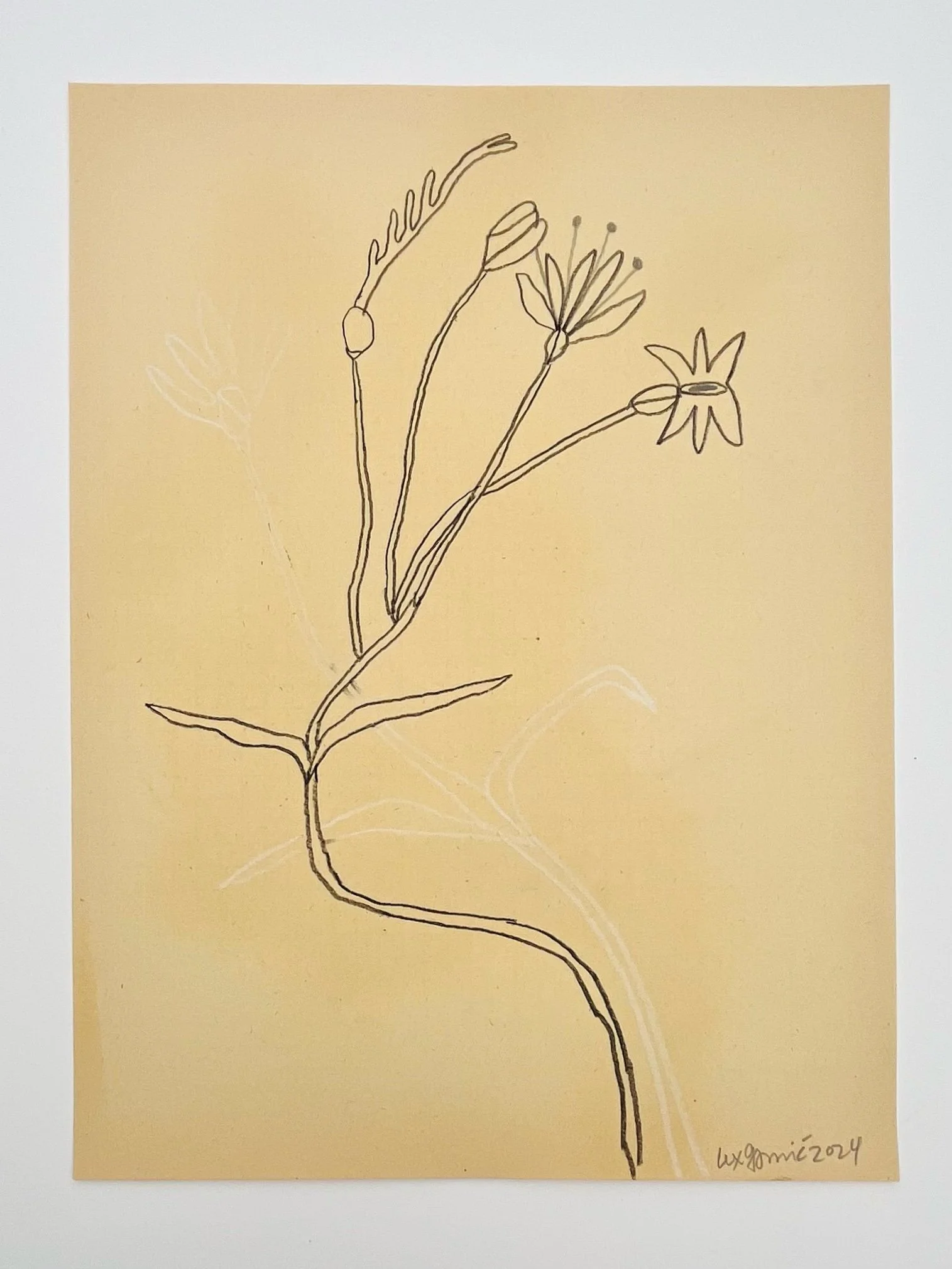  106  9x12"  Drawing on found paper  2024 