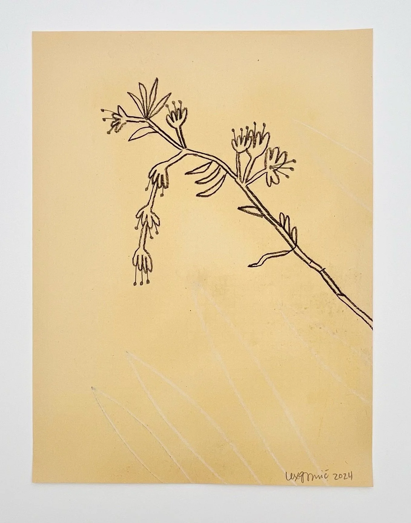  113  9x12"  Drawing on found paper  2024 