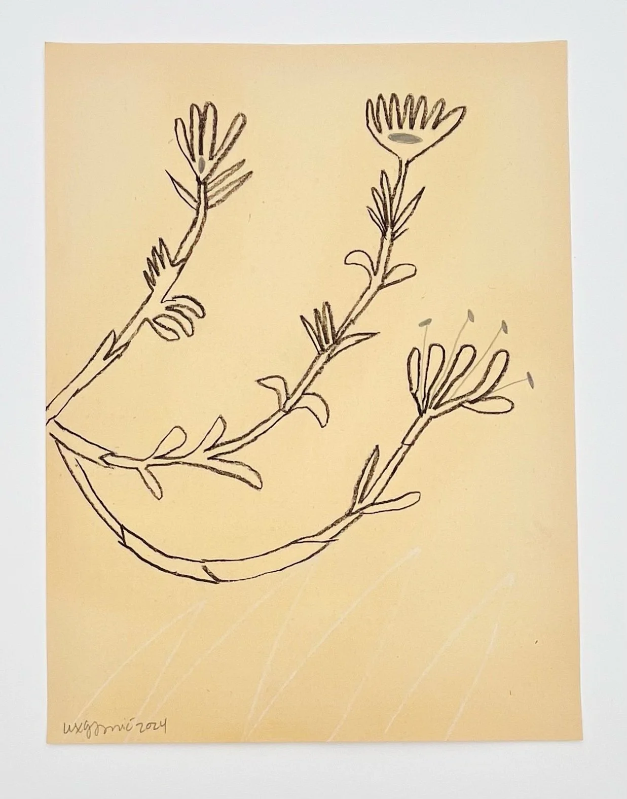  112  9x12"  Drawing on found paper  2024 