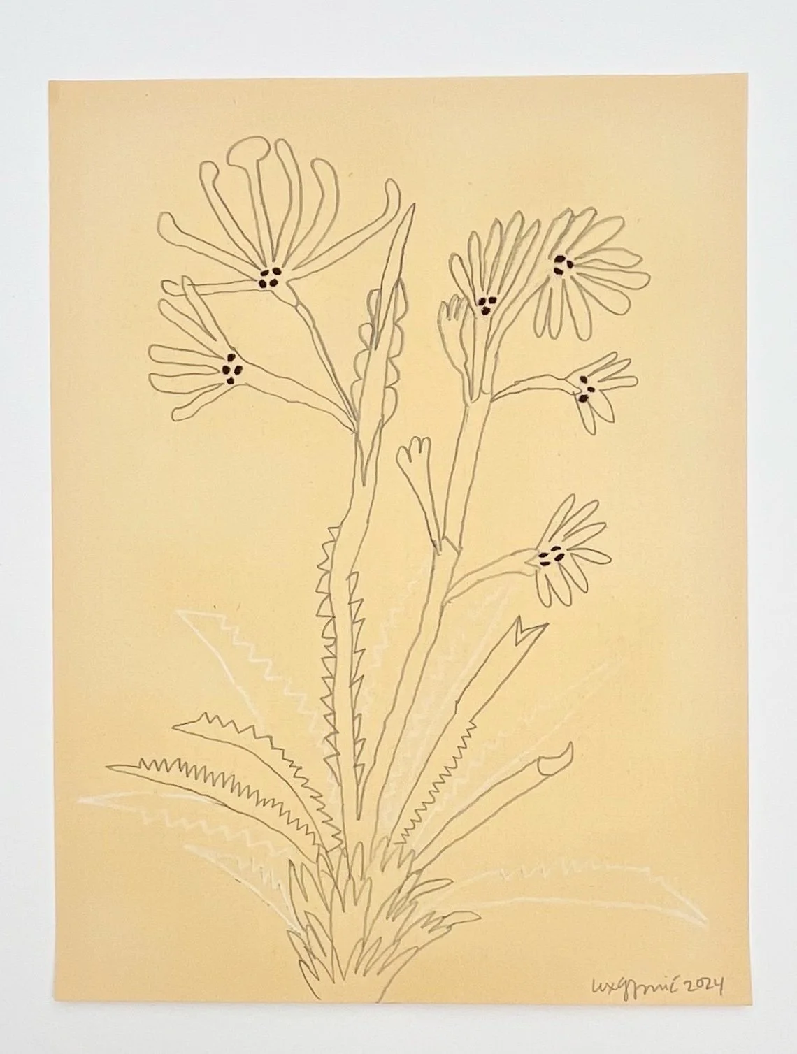  121  9x12"  Drawing on found paper  2024 