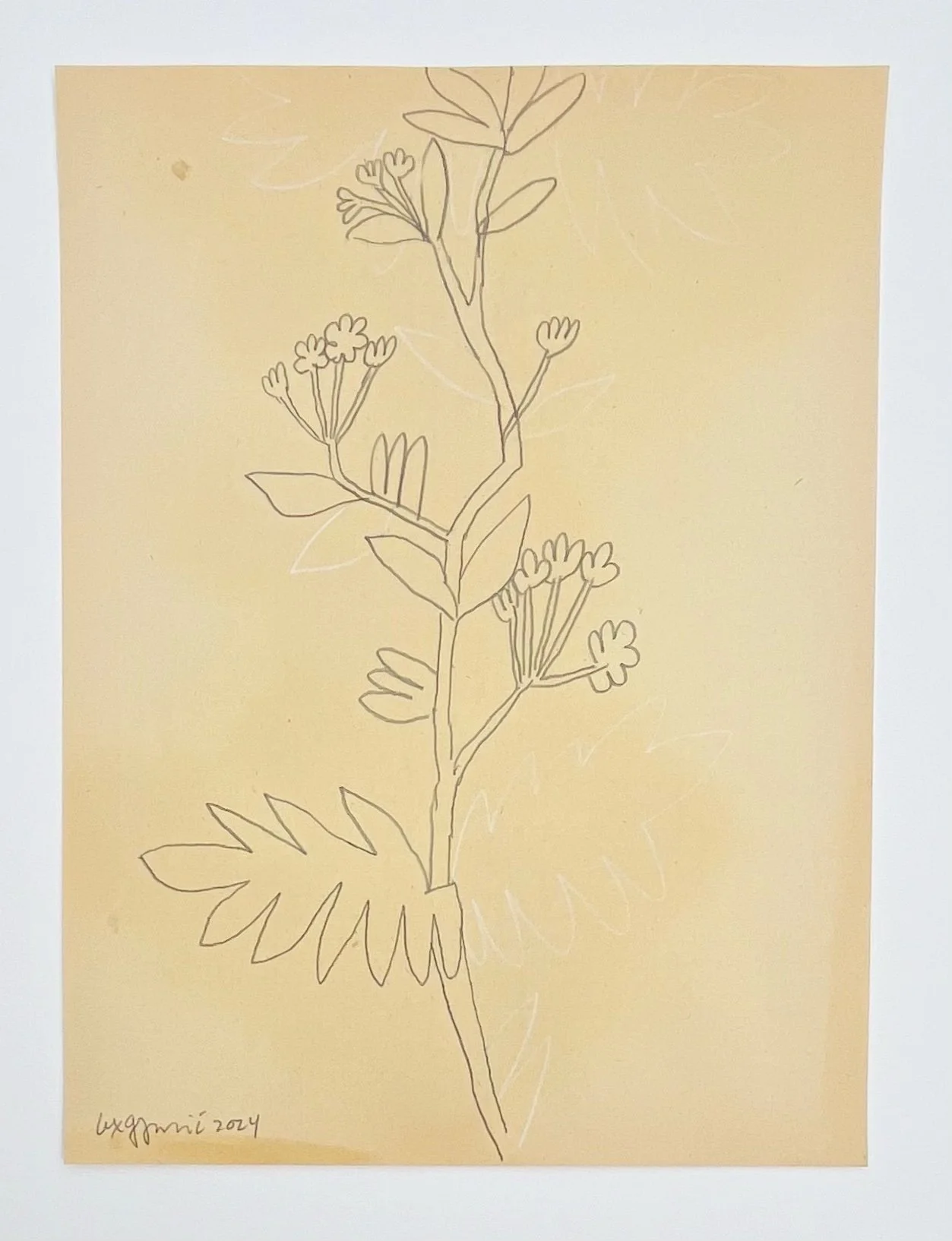  129  9x12"  Drawing on found paper  2024 