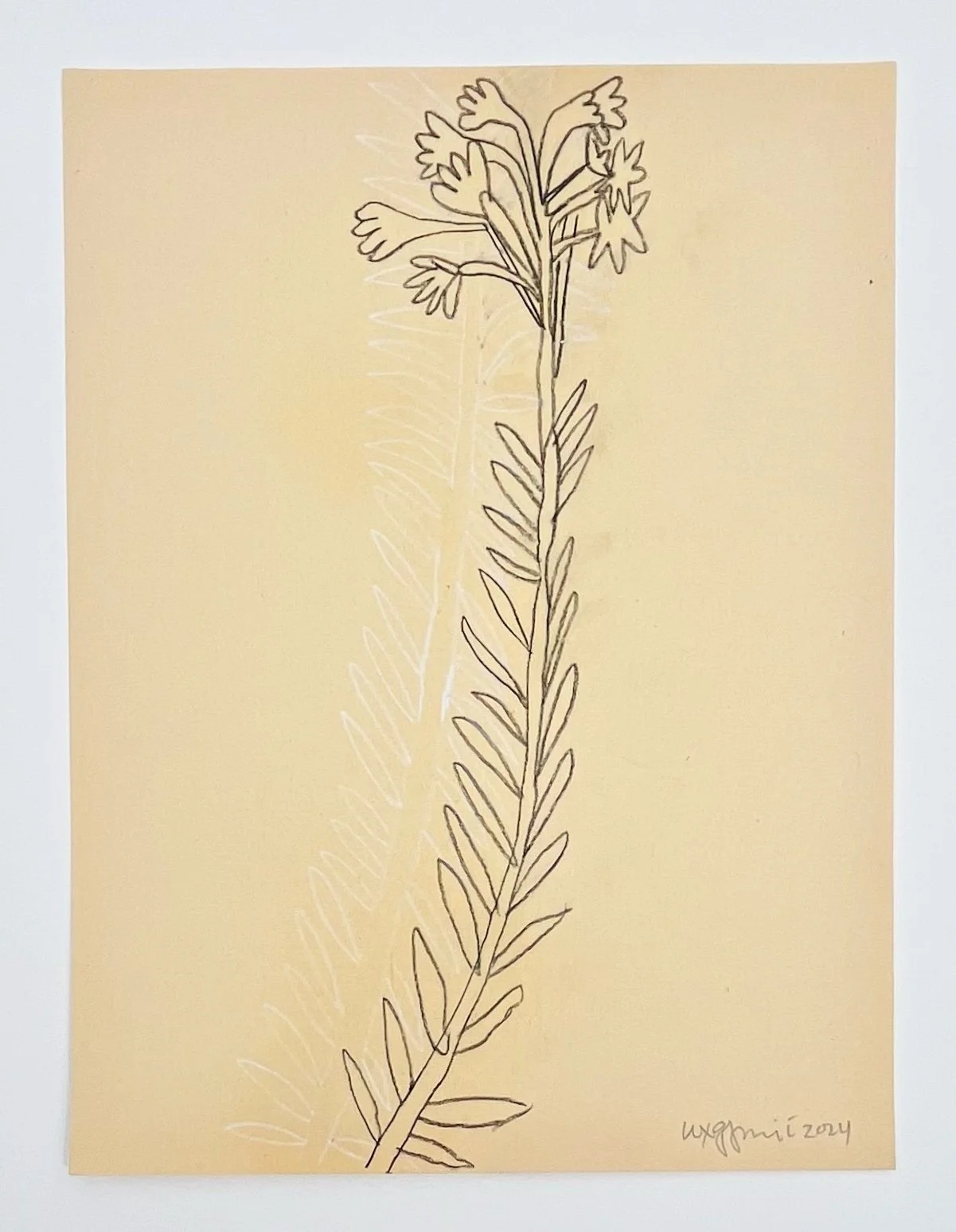  132  9x12"  Drawing on found paper  2024 