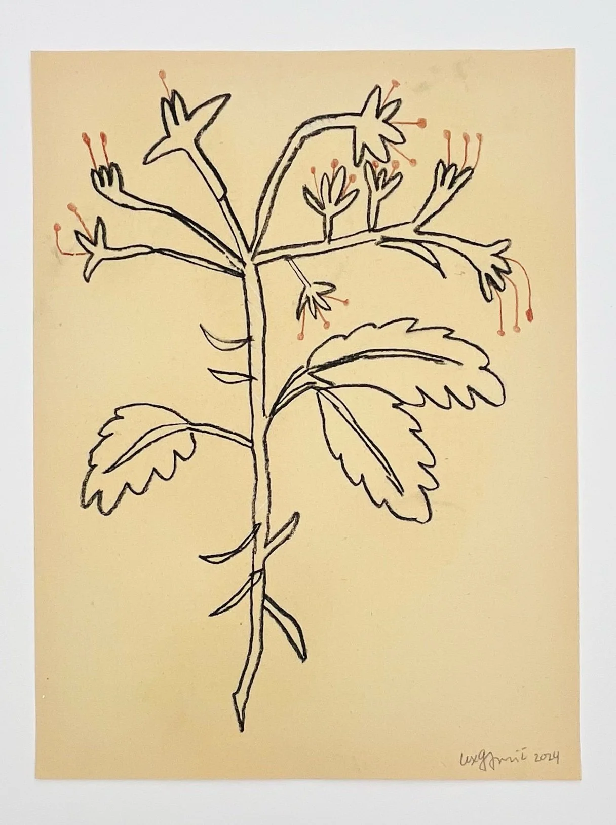  118  9x12"  Drawing on found paper  2024 