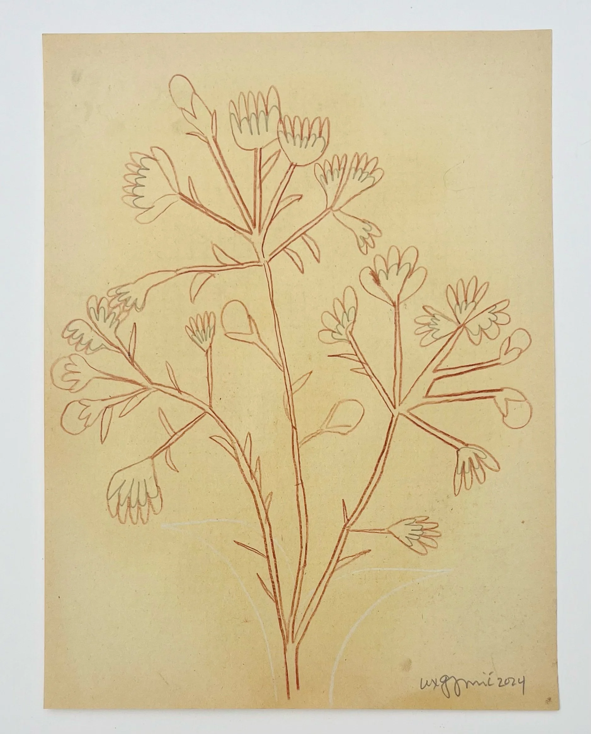  137  9x12"  Drawing on found paper  2024 