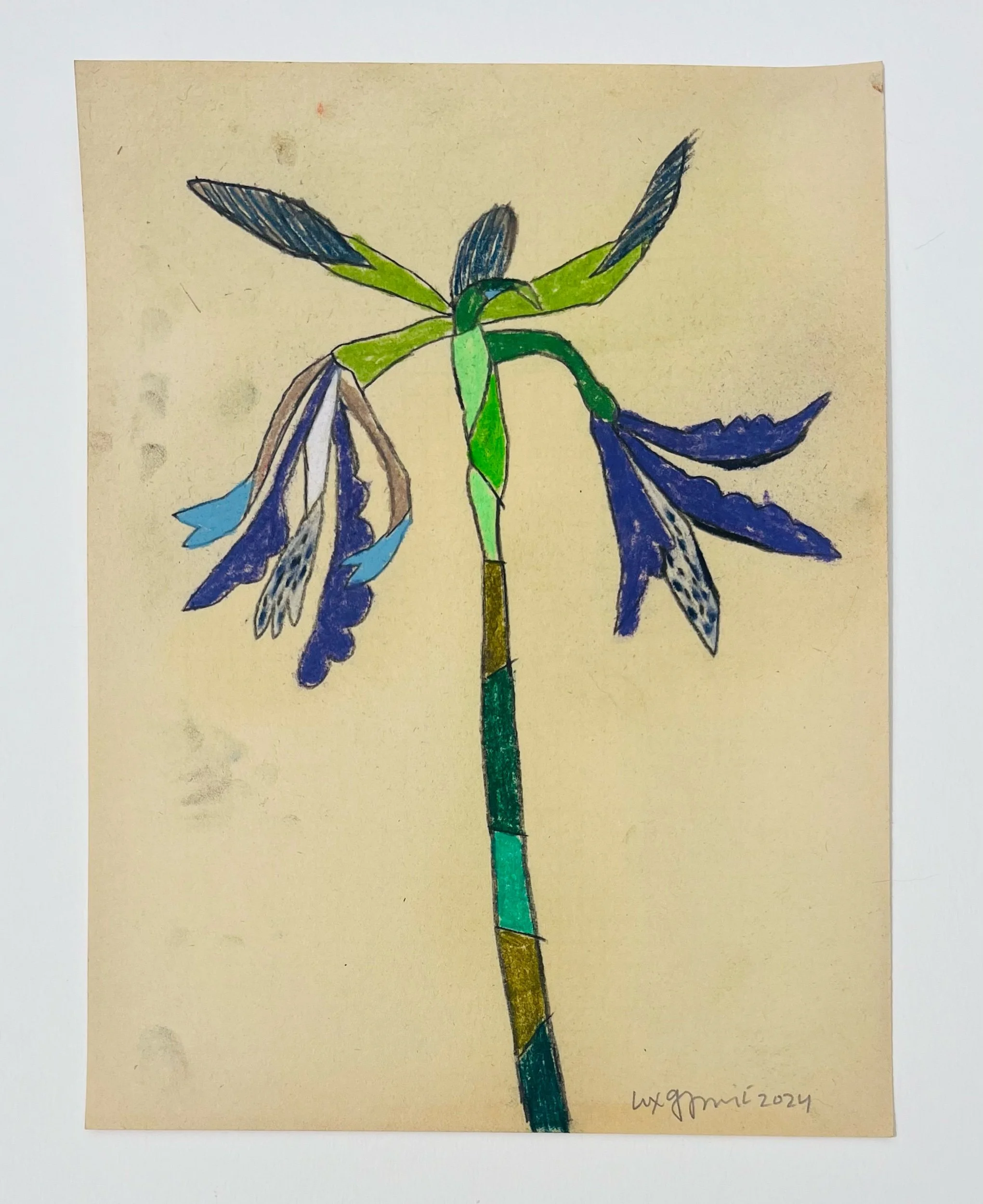  138  9x12"  Drawing on found paper  2024 