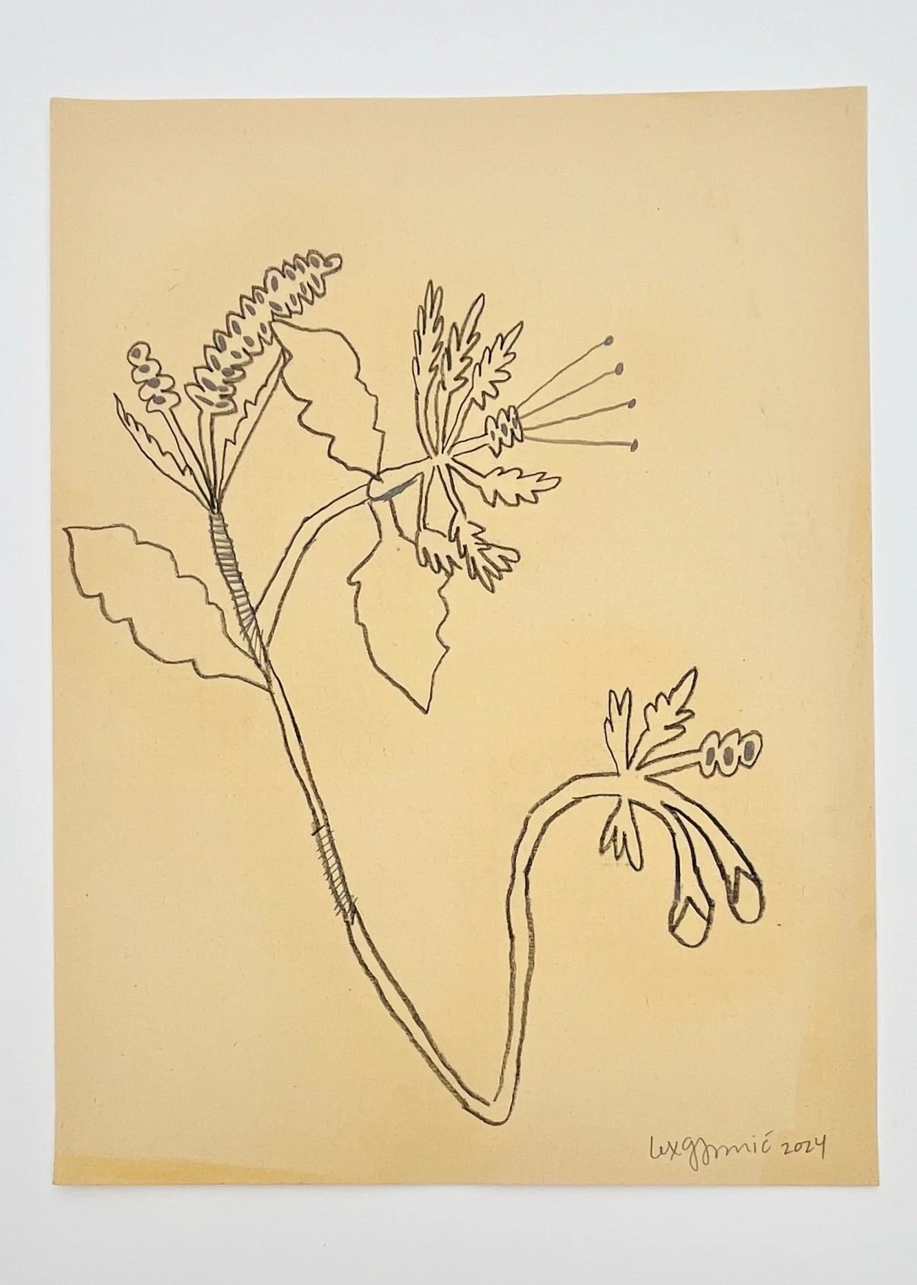  109  9x12"  Drawing on found paper  2024 