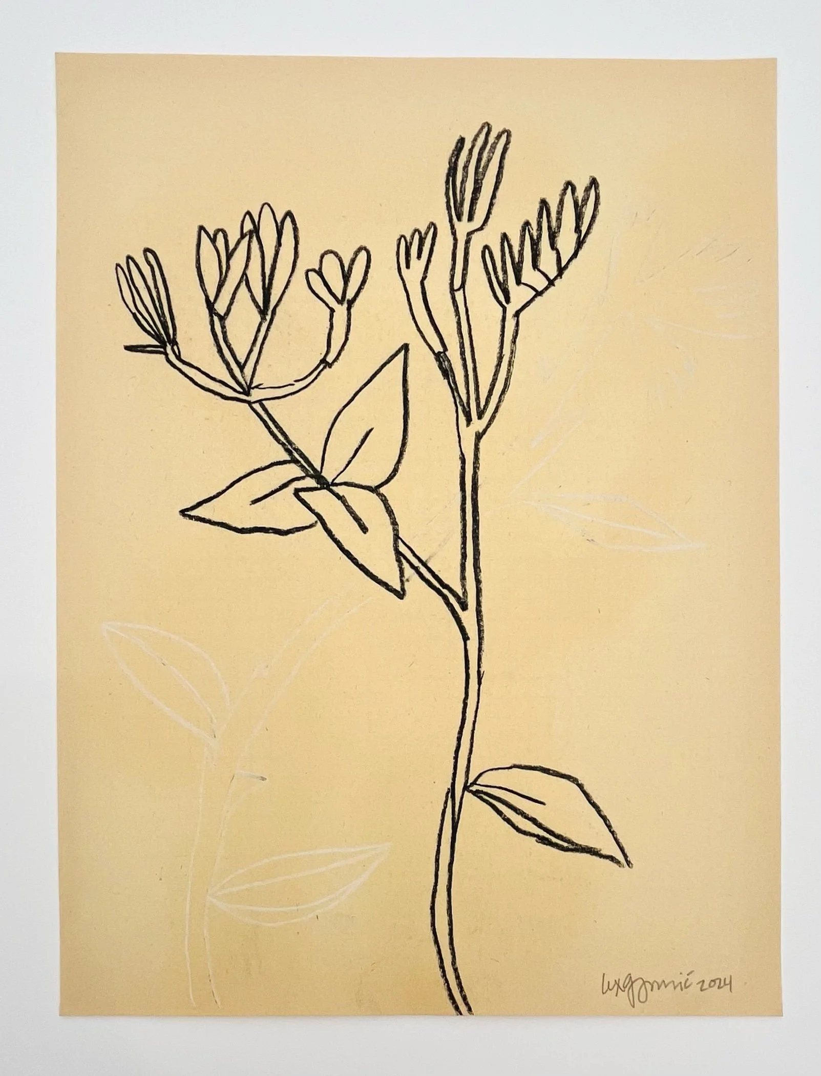  117  9x12"  Drawing on found paper  2024 