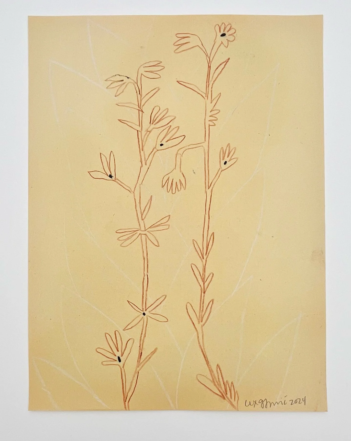  114  9x12"  Drawing on found paper  2024 