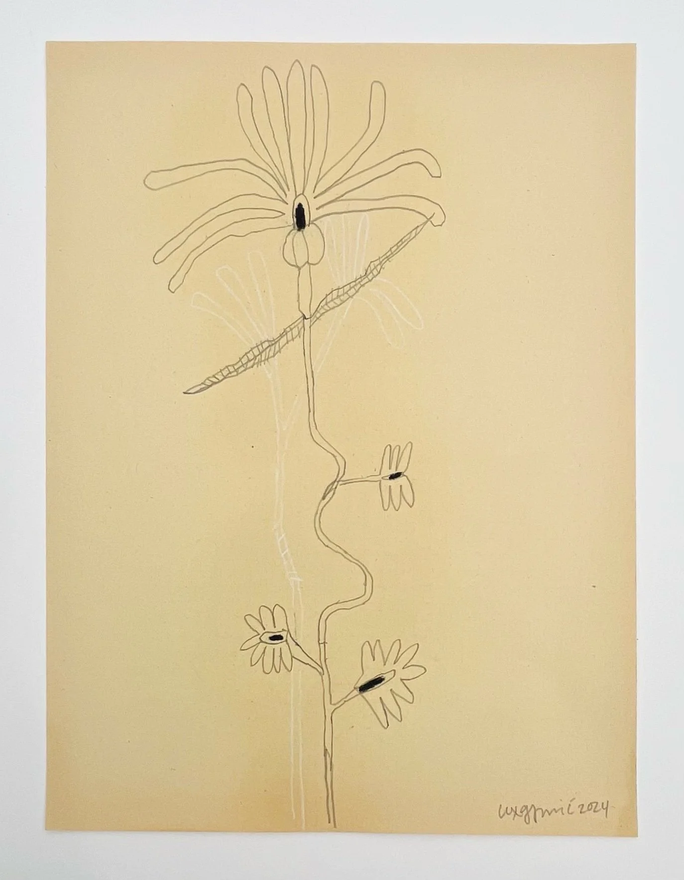  122  9x12"  Drawing on found paper  2024 