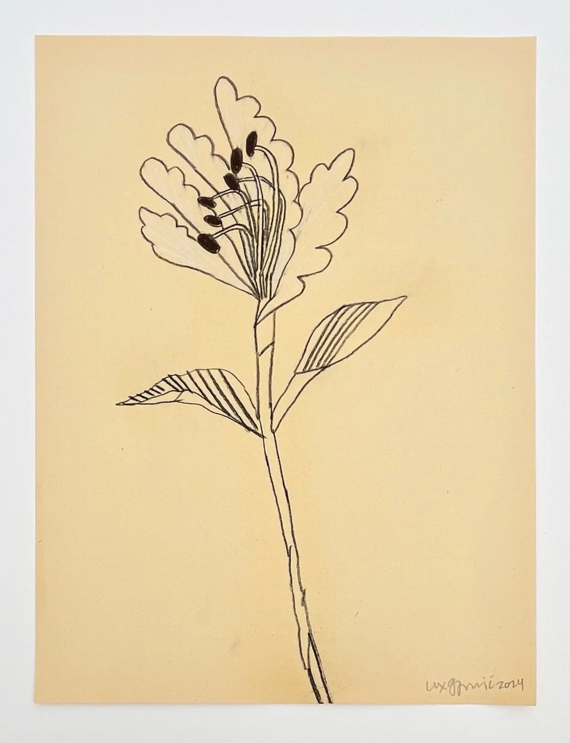  123  9x12"  Drawing on found paper  2024 