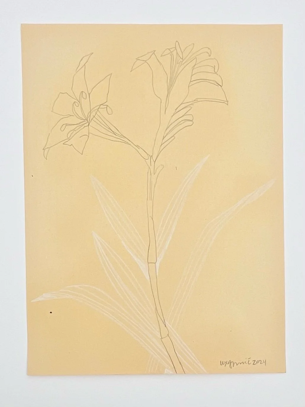  124  9x12"  Drawing on found paper  2024 