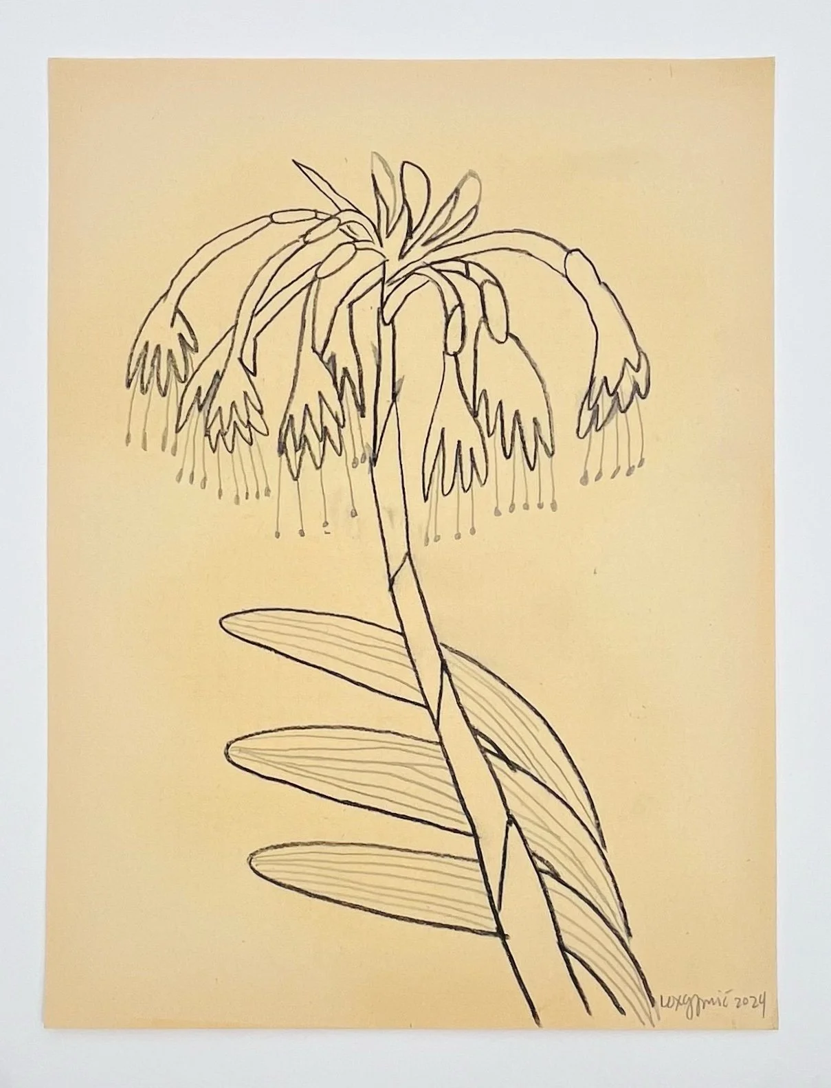  125  9x12"  Drawing on found paper  2024 