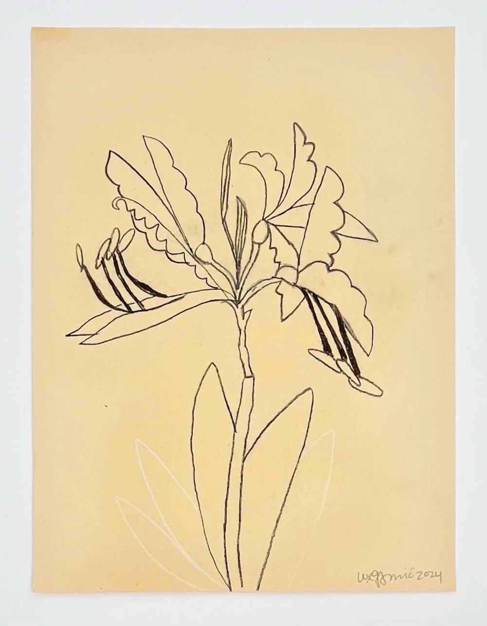  127  9x12"  Drawing on found paper  2024 