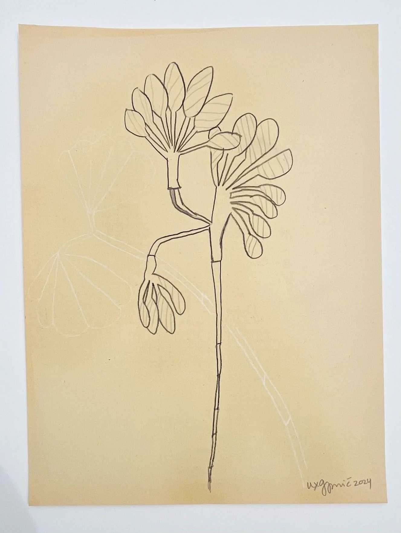  128  9x12"  Drawing on found paper  2024 