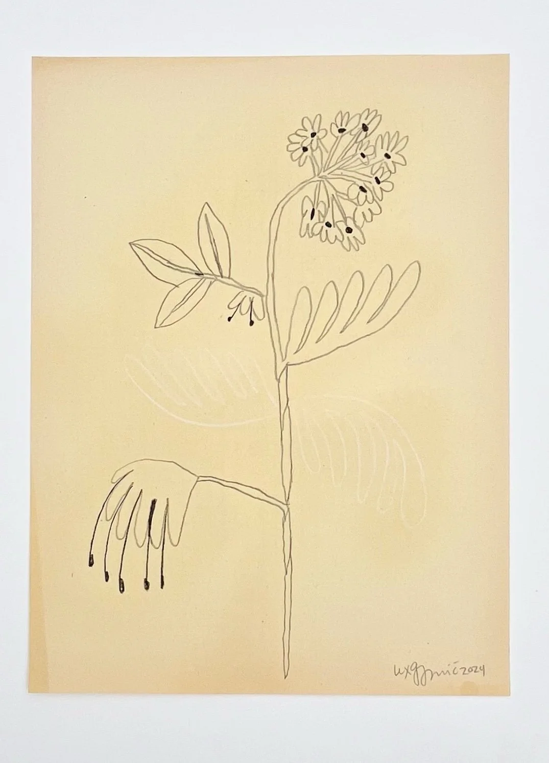  131  9x12"  Drawing on found paper  2024 