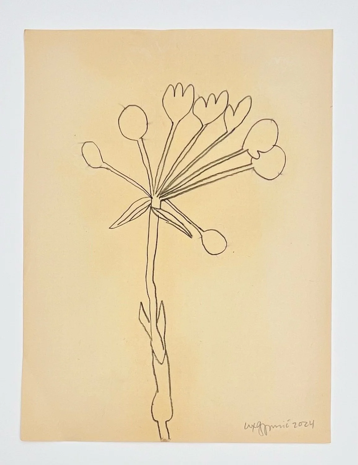  135  9x12"  Drawing on found paper  2024 