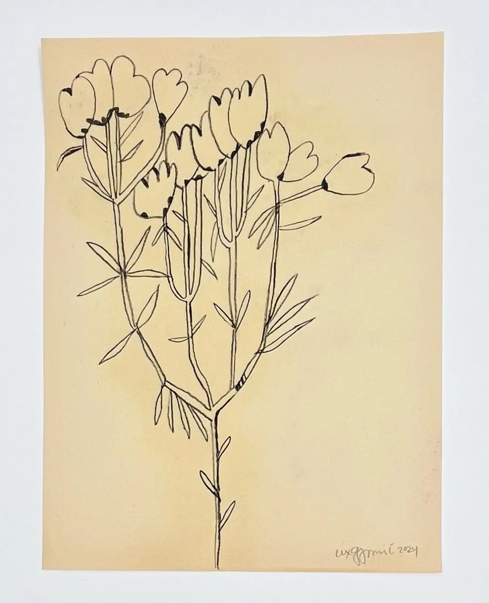  136  9x12"  Drawing on found paper  2024 