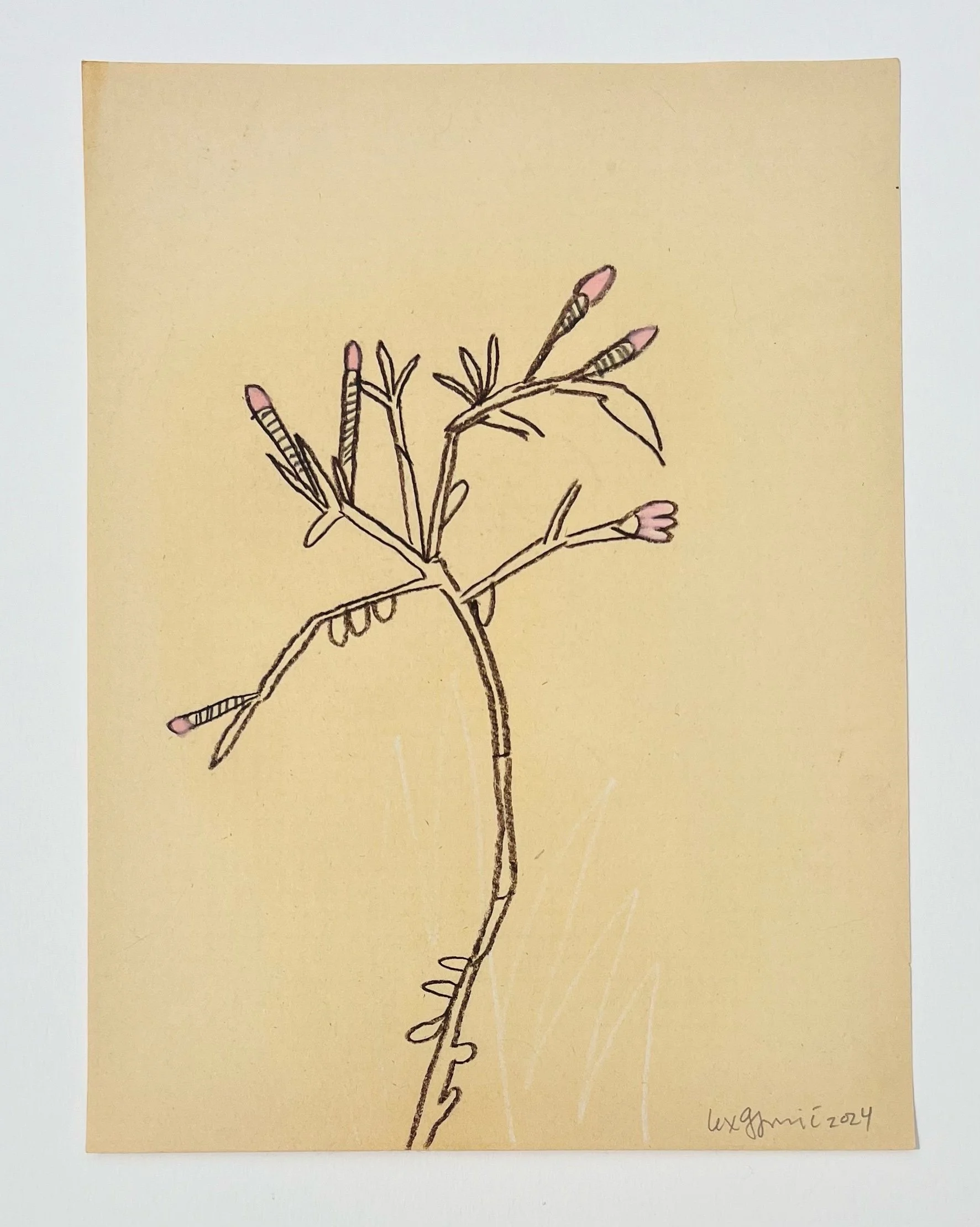  140  9x12"  Drawing on found paper  2024 