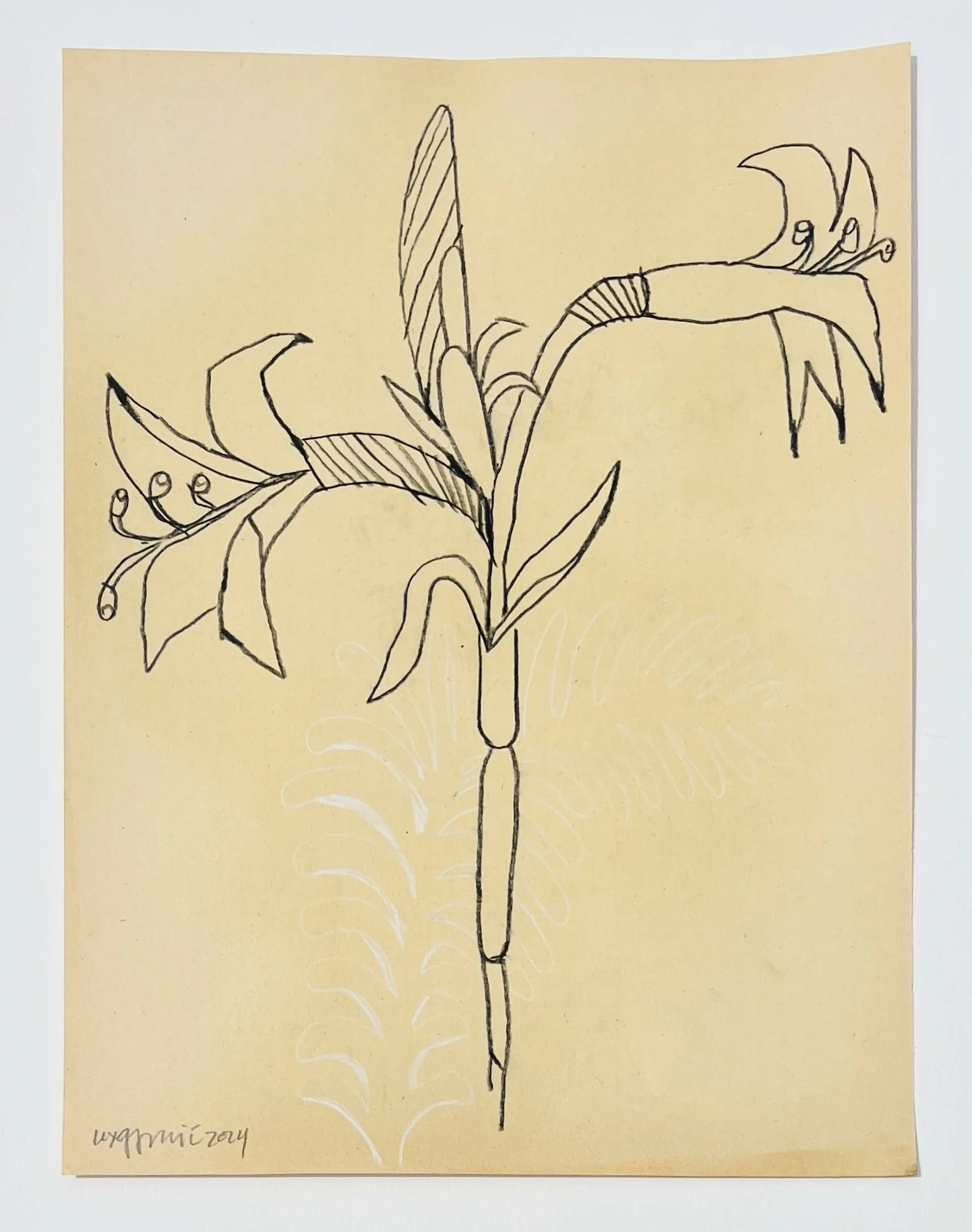  142  9x12"  Drawing on found paper  2024 