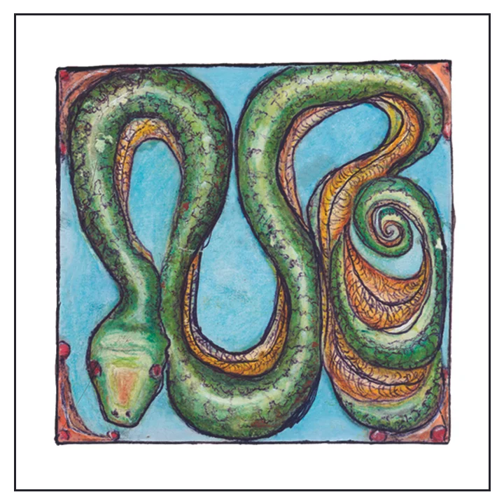 Snakes_1_new.jpg