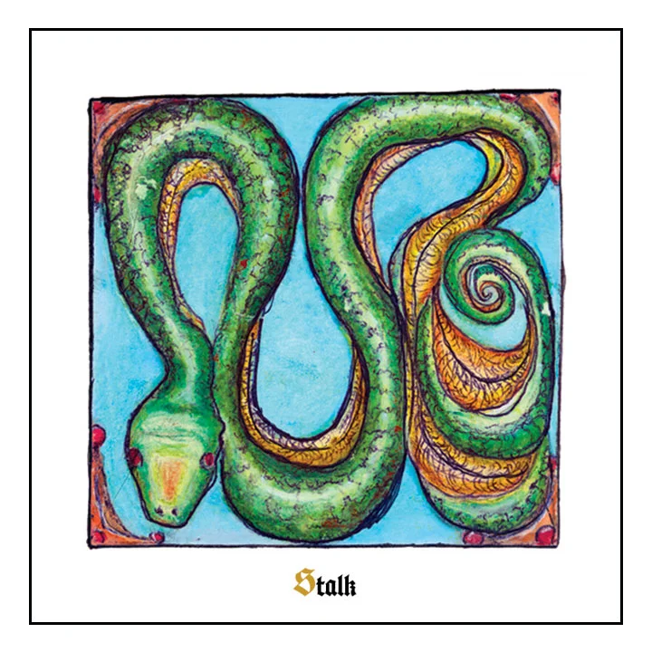 Snakes_1_new-edit.jpg