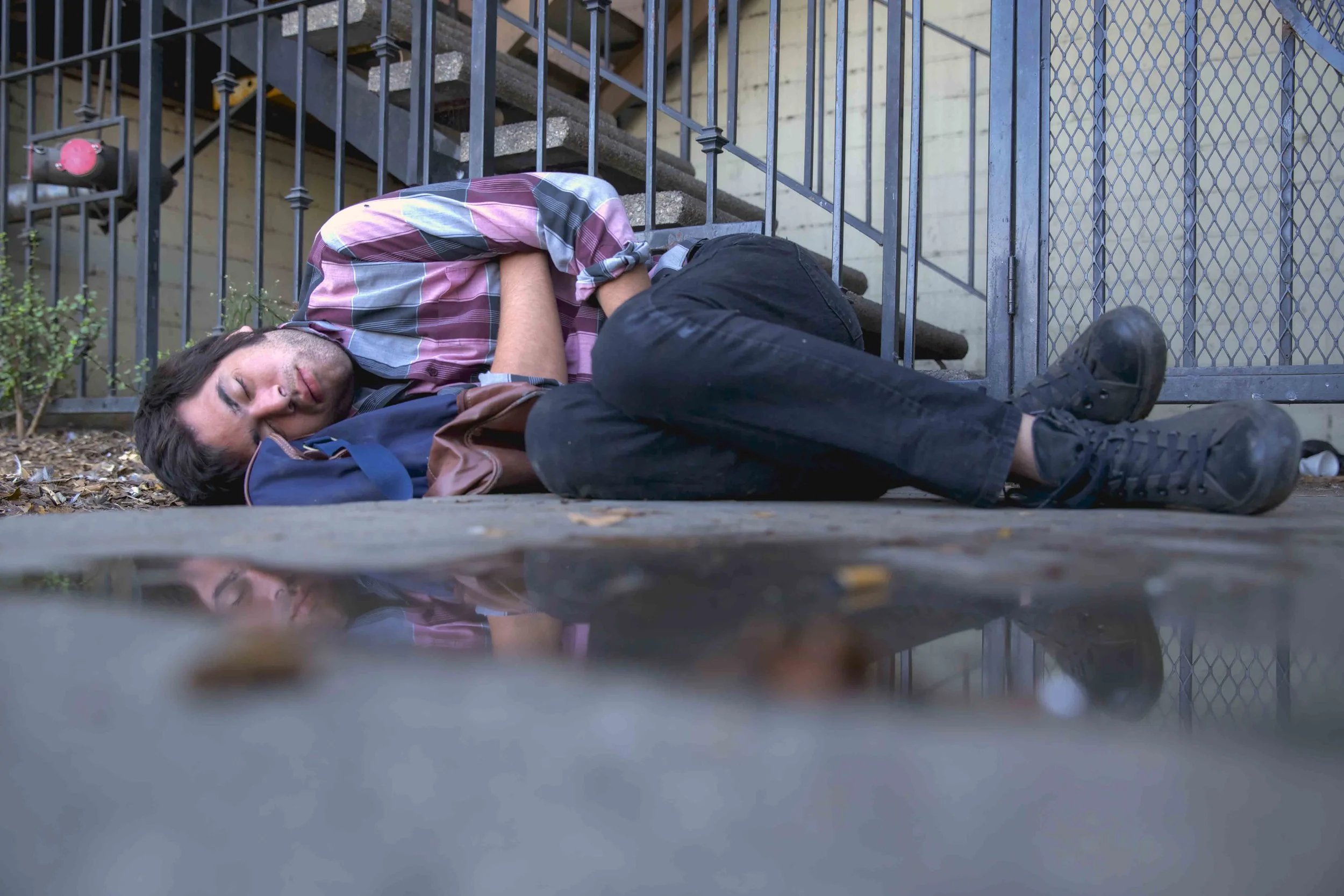 HollywoodSleeps.jpg