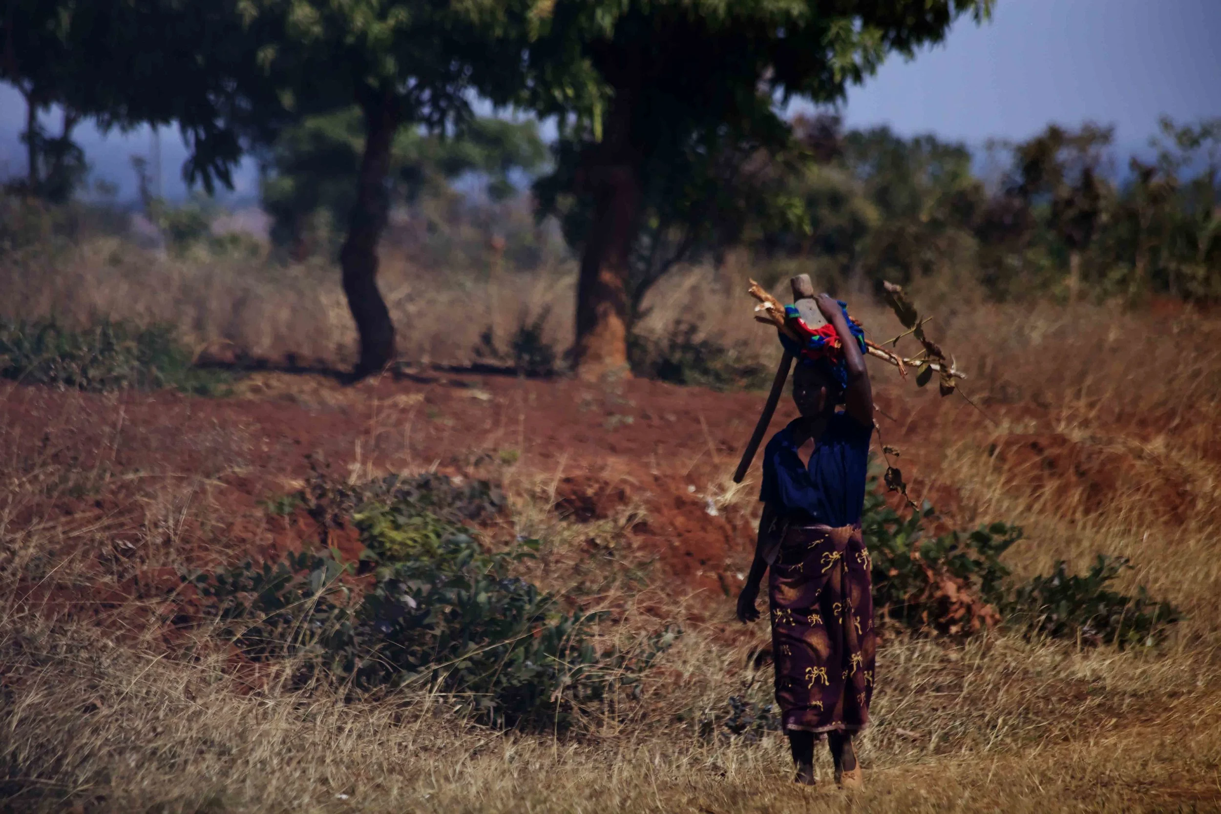 AfricanIndian.jpg