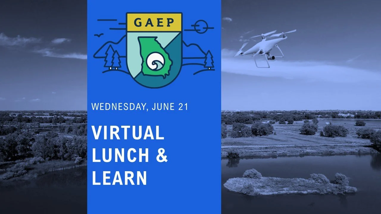 June Lunch & Learn