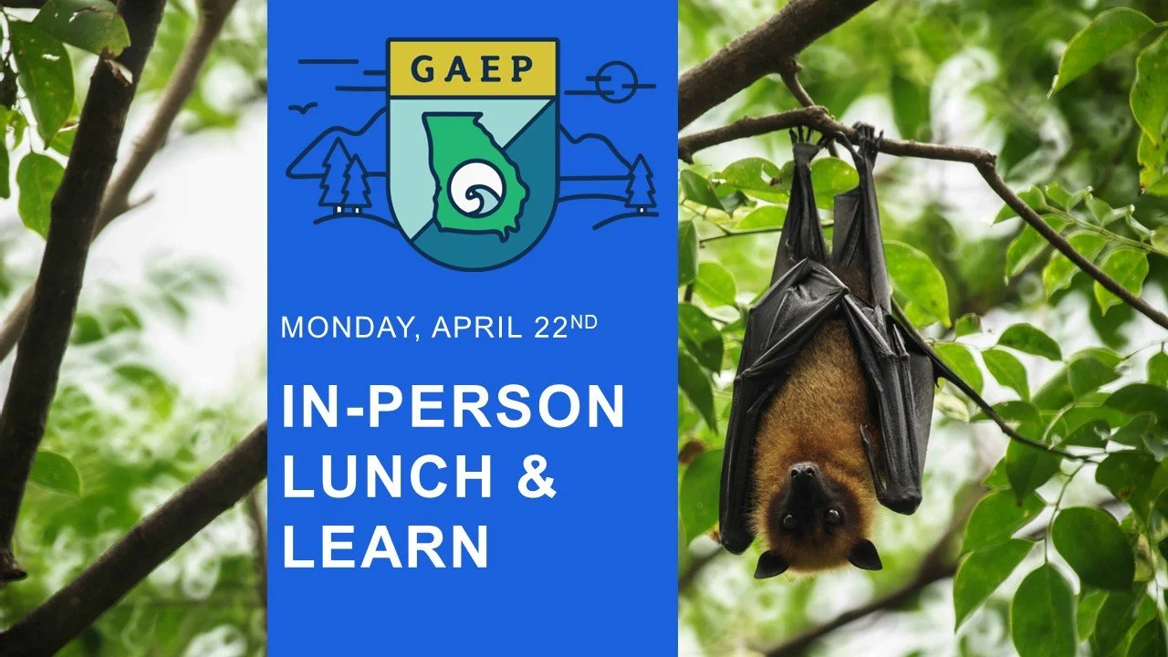 April Lunch & Learn