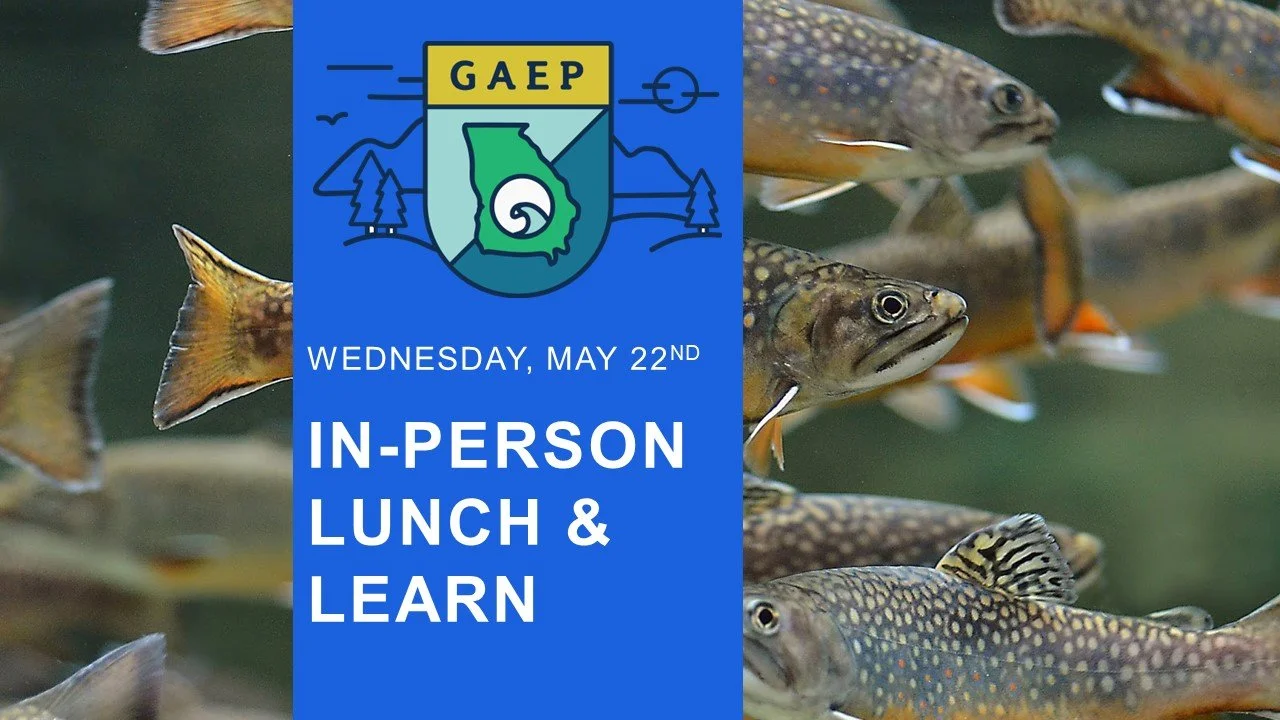 GAEP May L&L