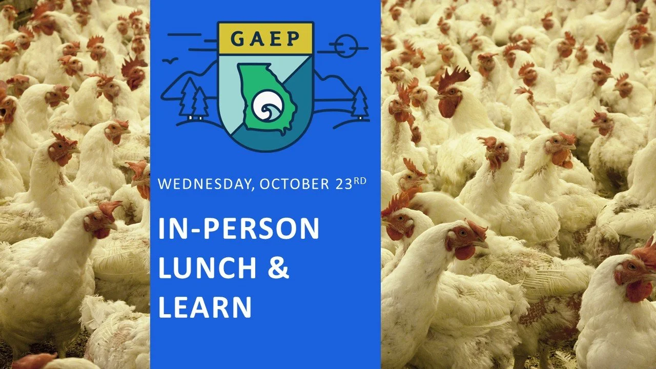 October Lunch & Learn