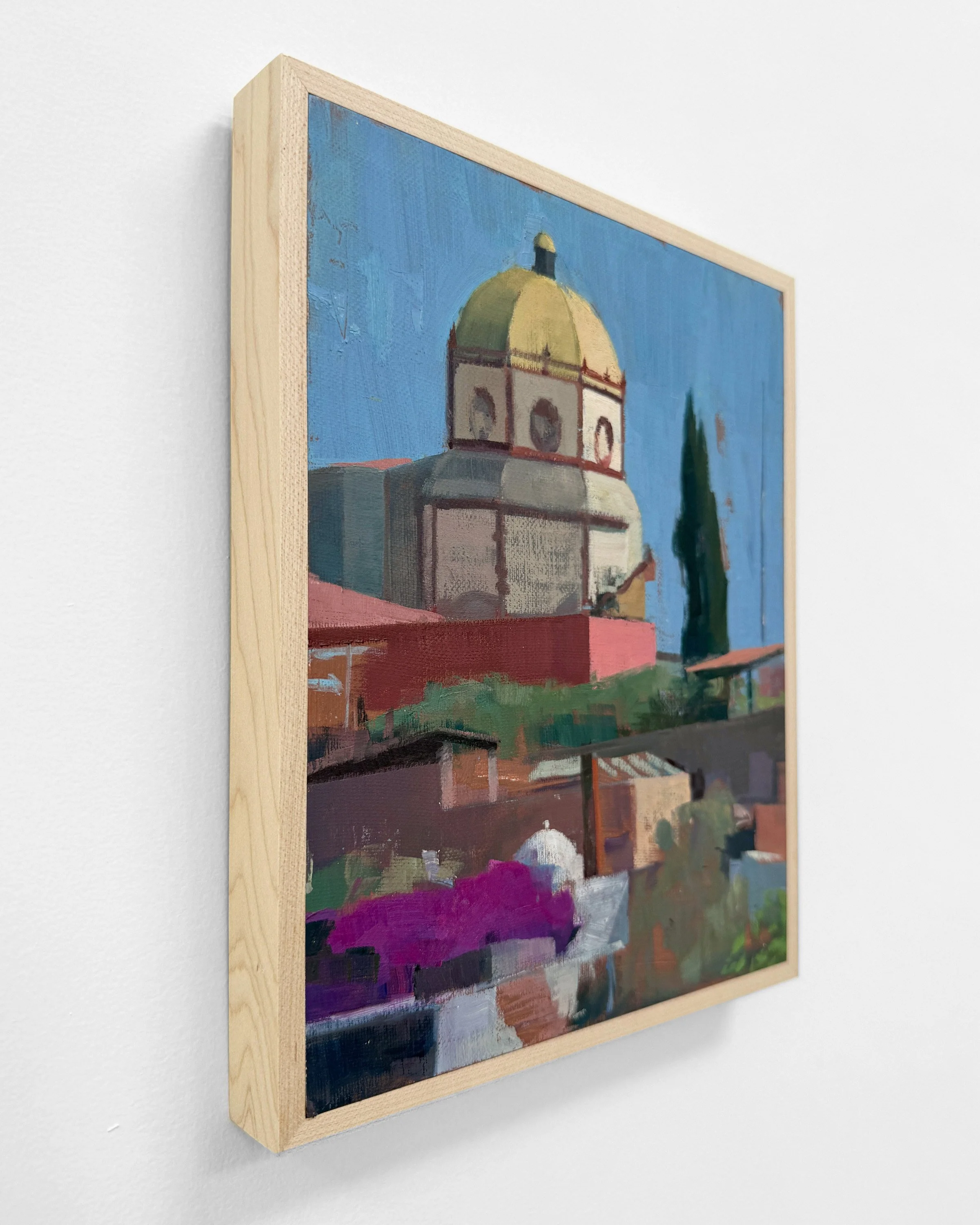 04_SanMiguelDome_FrameProfile.png.jpg