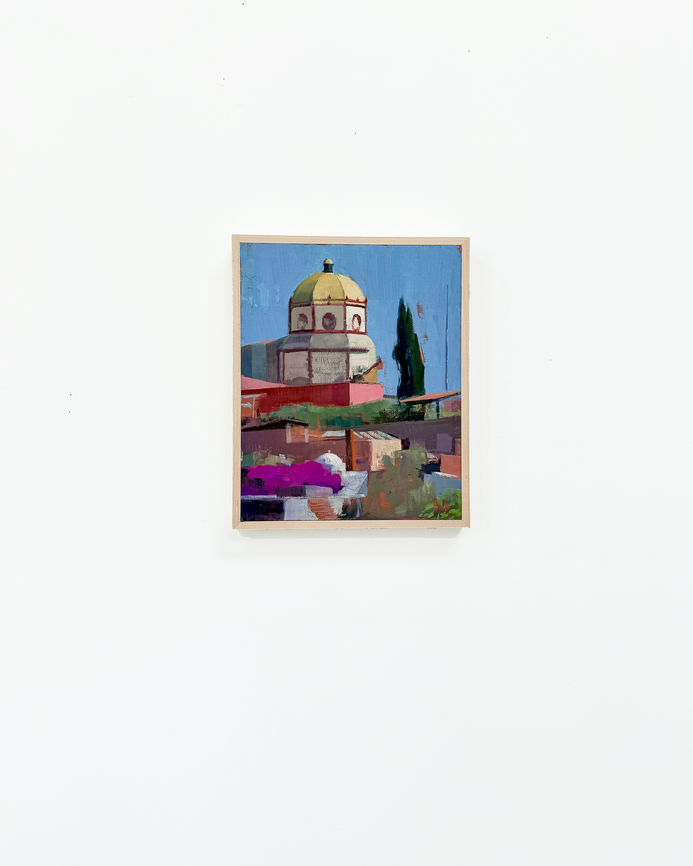 06_SanMiguelDome_Installation (1).png