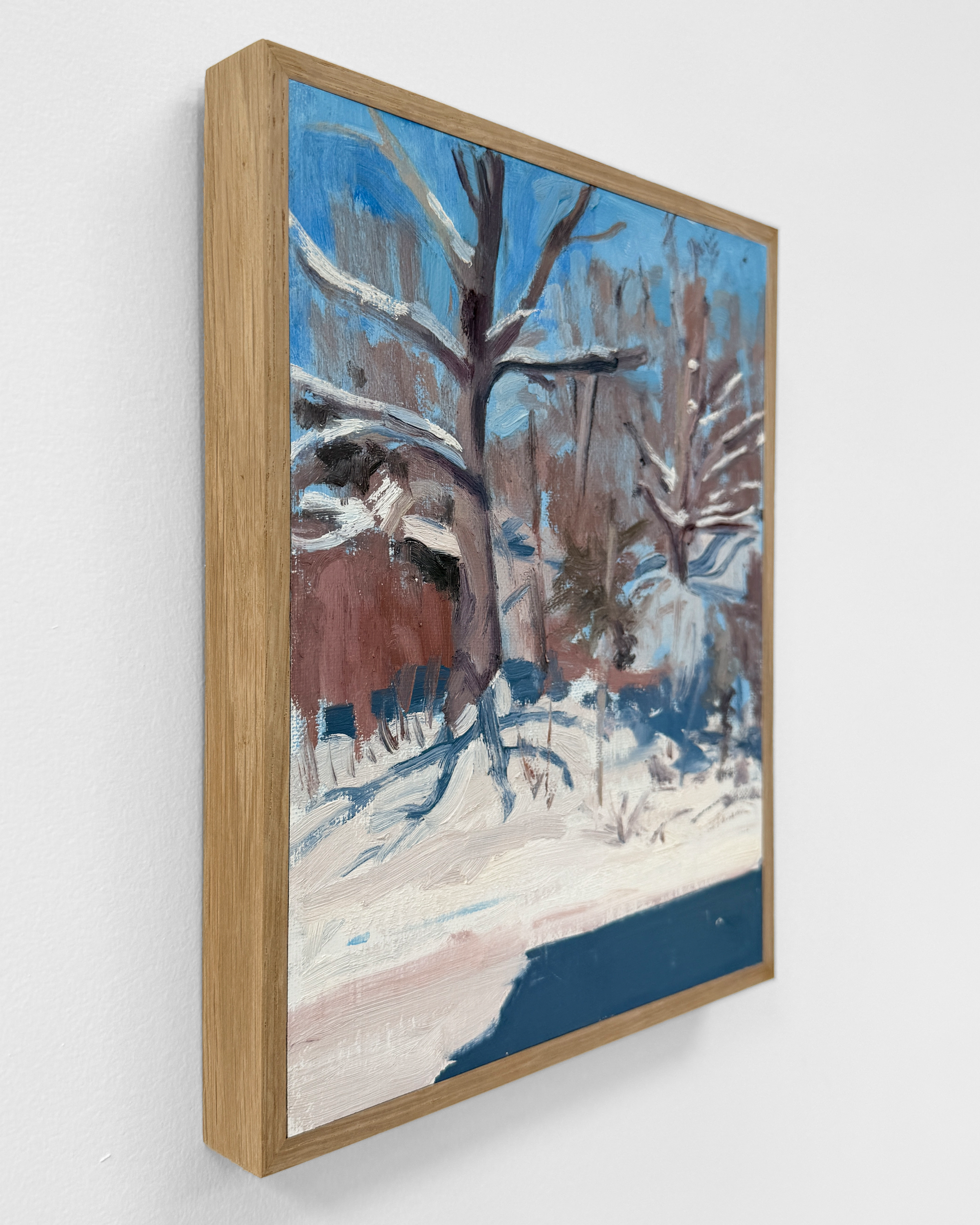 05_SnowPleinAir_FrameProfile.png