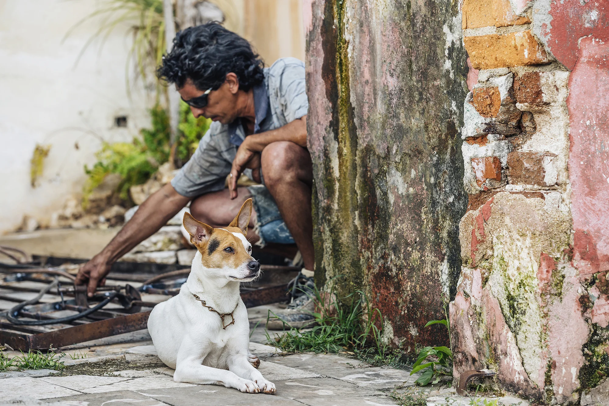 Miramar, La Habana © Emmy Park 
