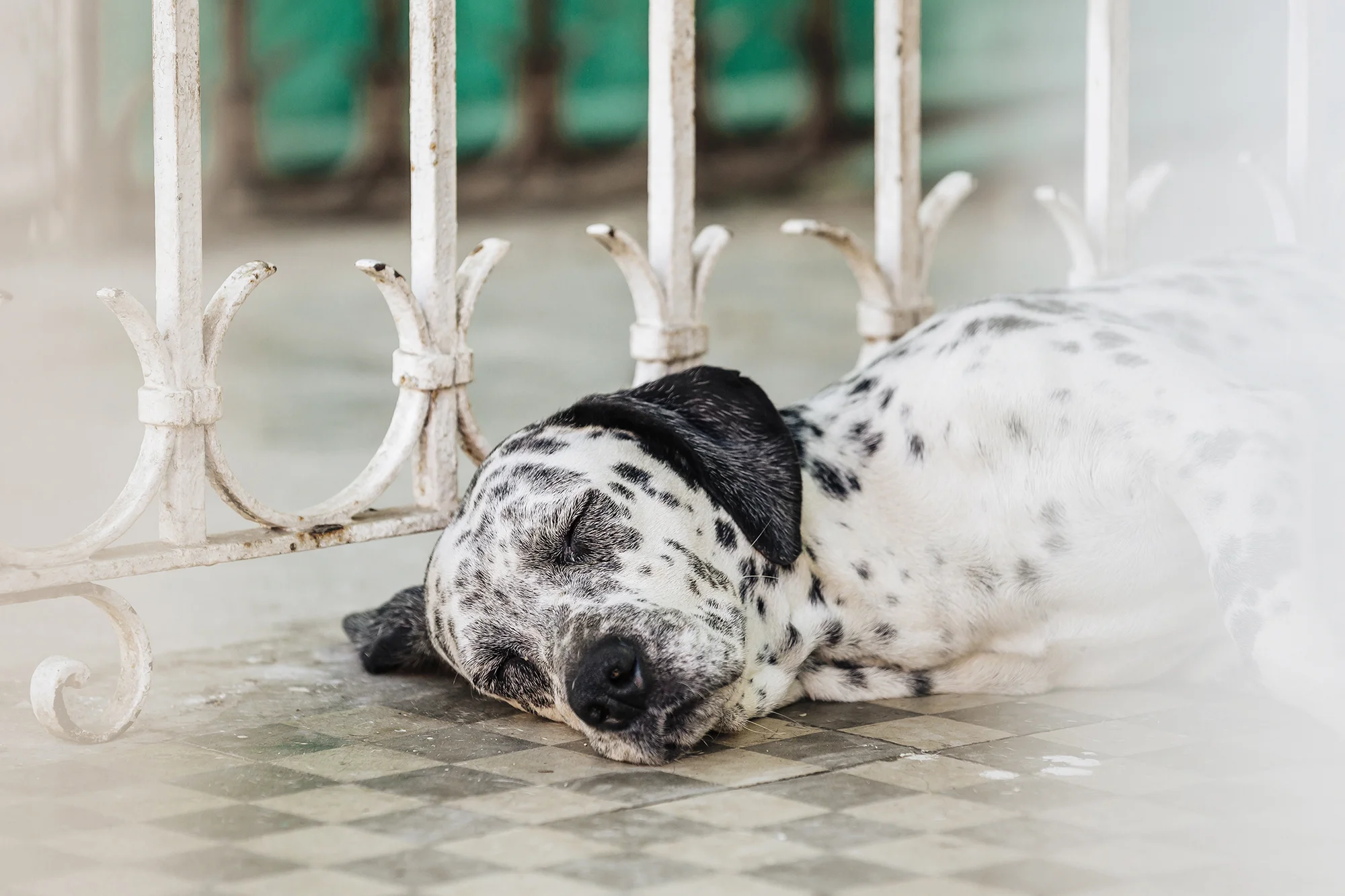  Cerro, Ciudad de la Habana 