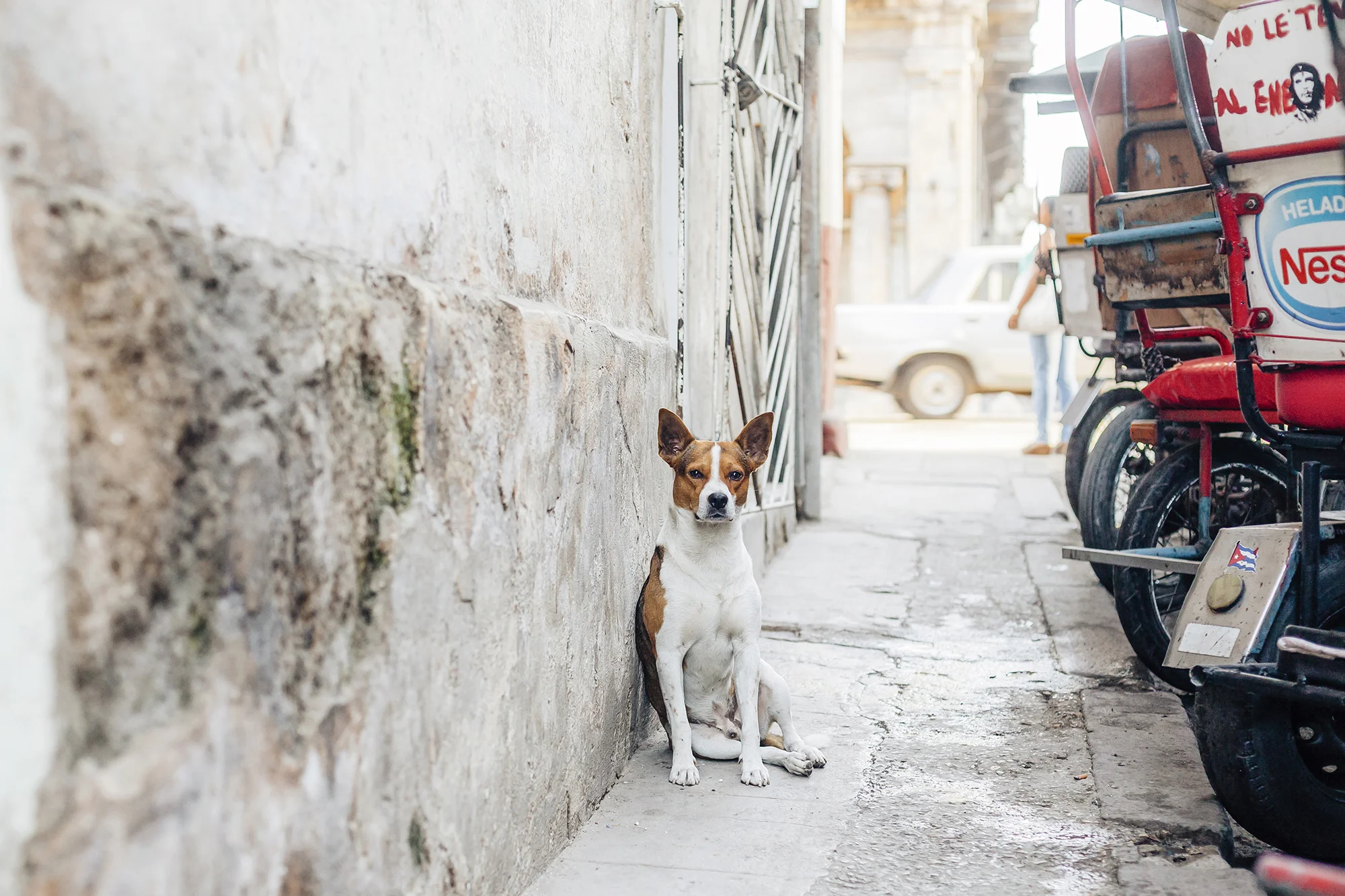  Centro Habana, La Habana © Emmy Park 