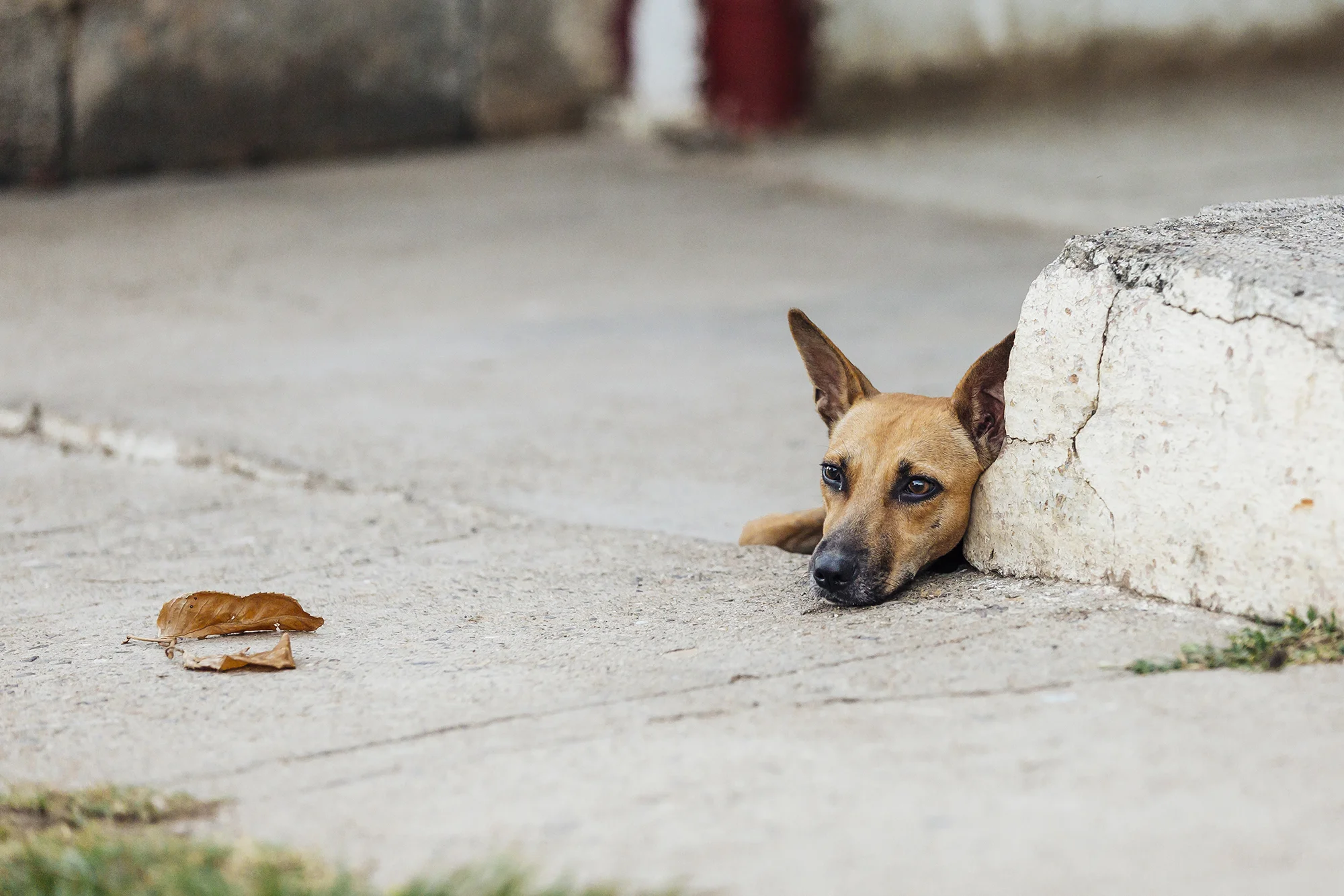 Trinidad, Sancti Spíritus © Emmy Park 
