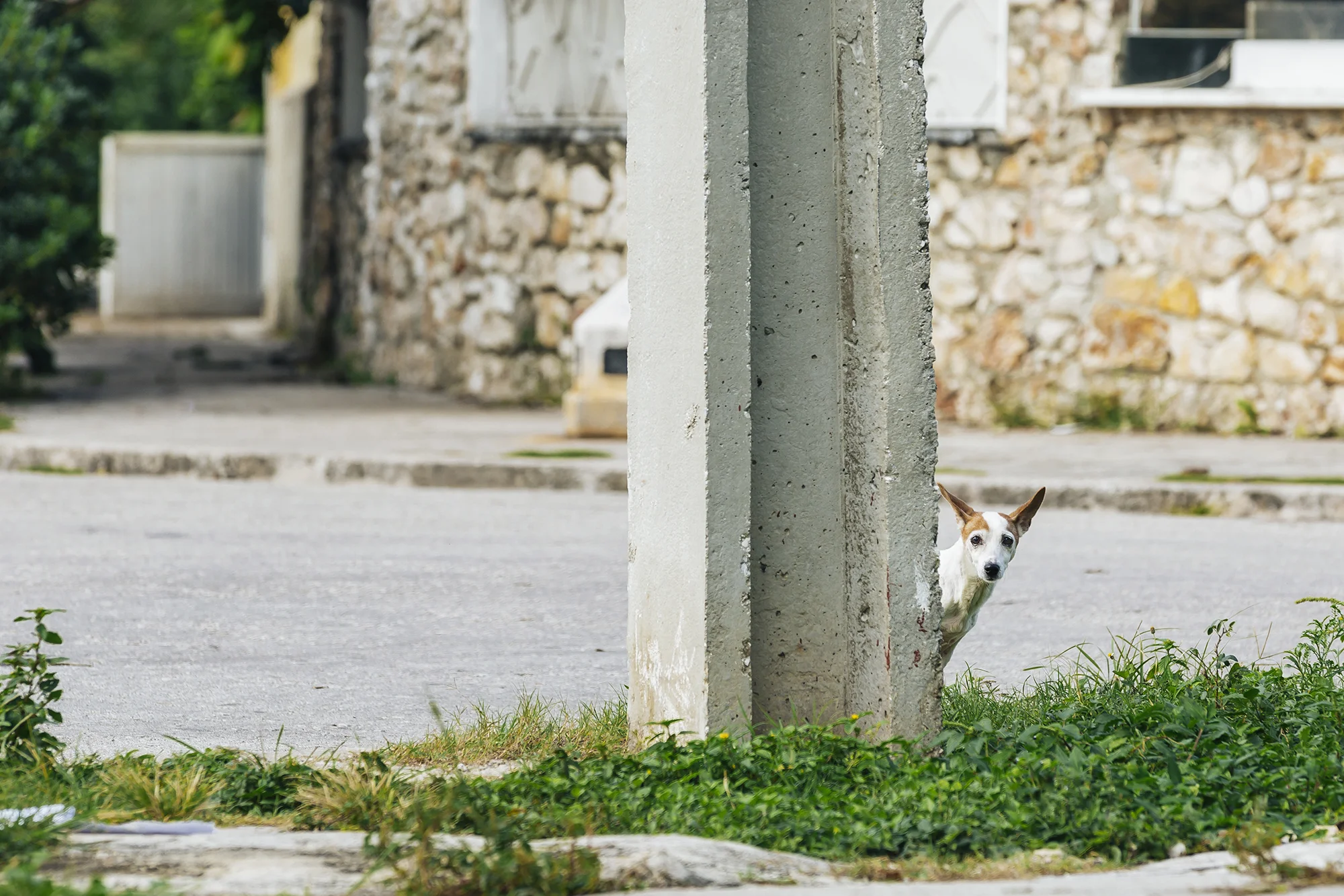  Vedado, La Habana © Emmy Park 