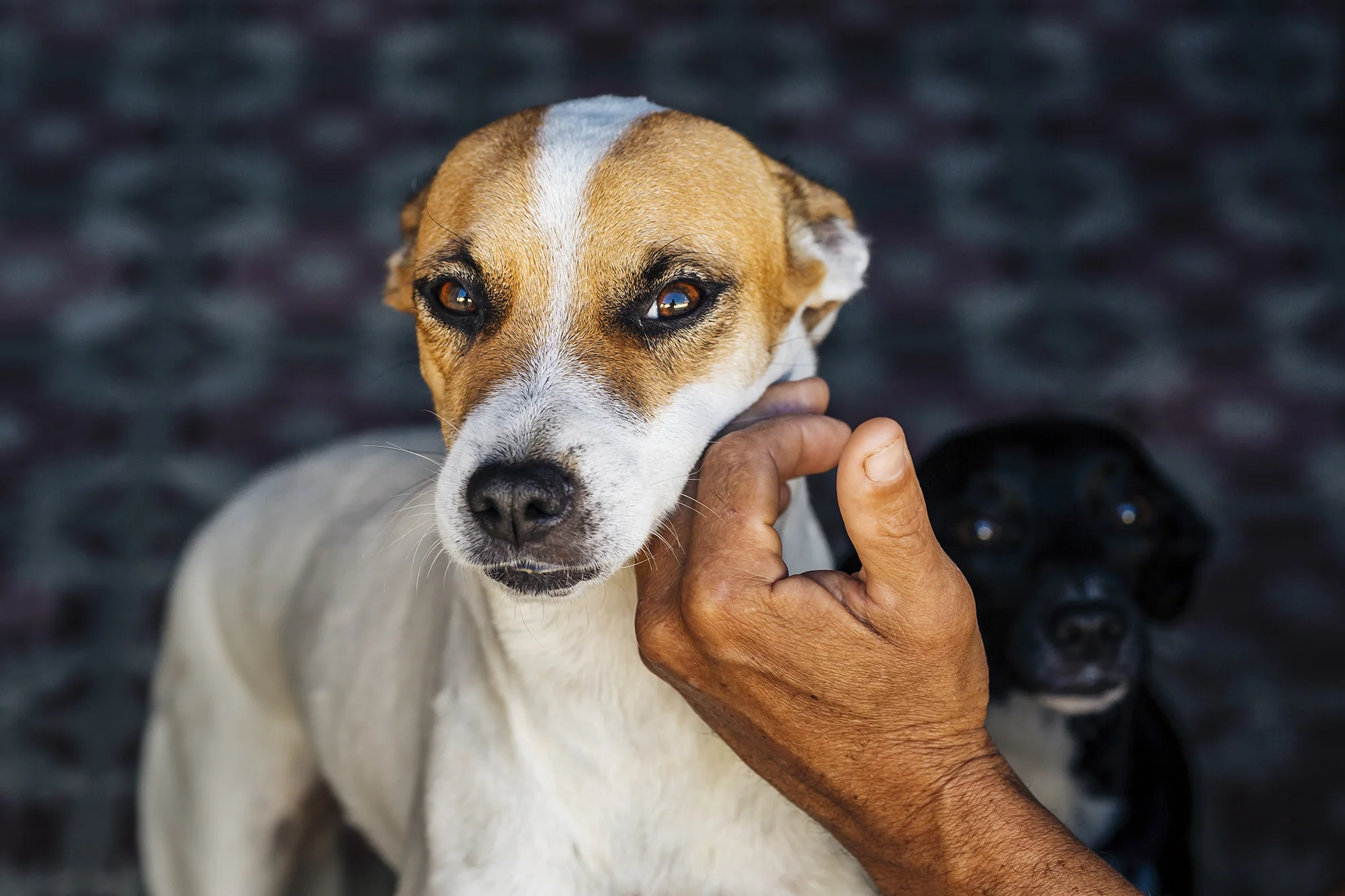 Trinidad,&nbsp;Sancti Spíritus Provence 