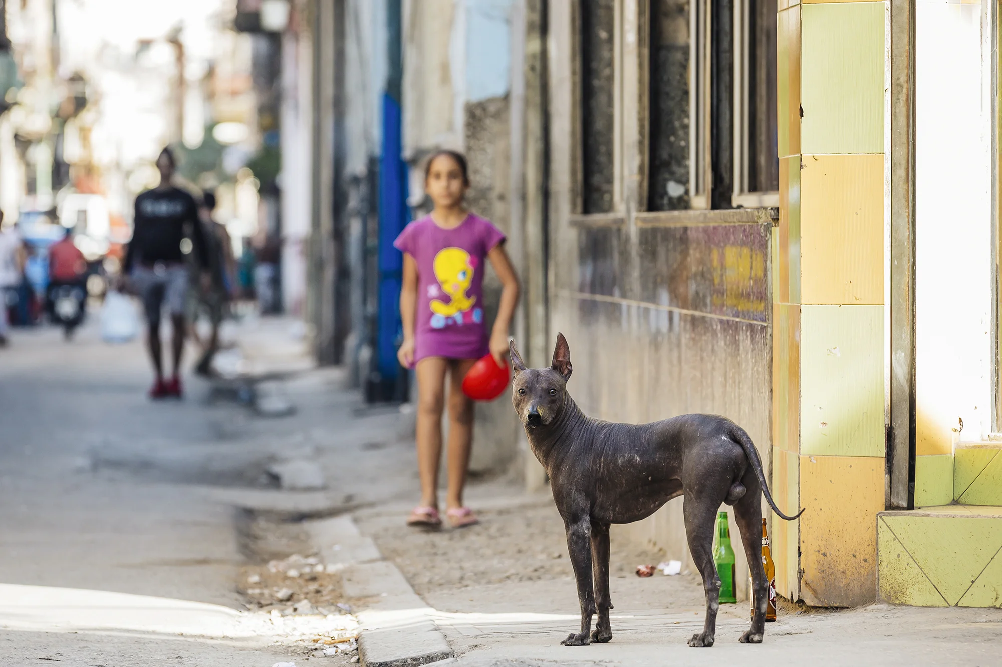  Habana Vieja, La Habana © Emmy Park 