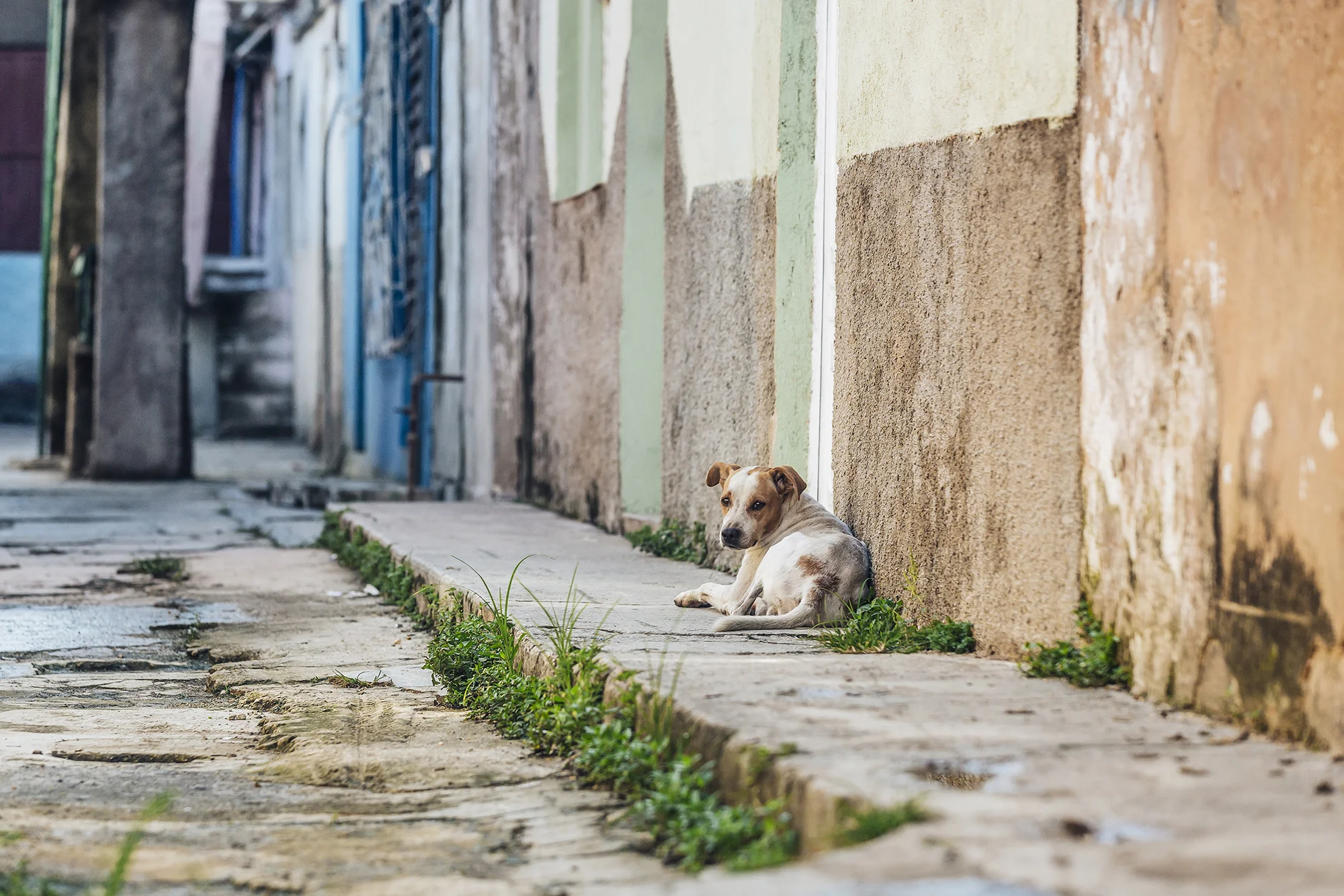  Matanzas, Matanzas © Emmy Park 