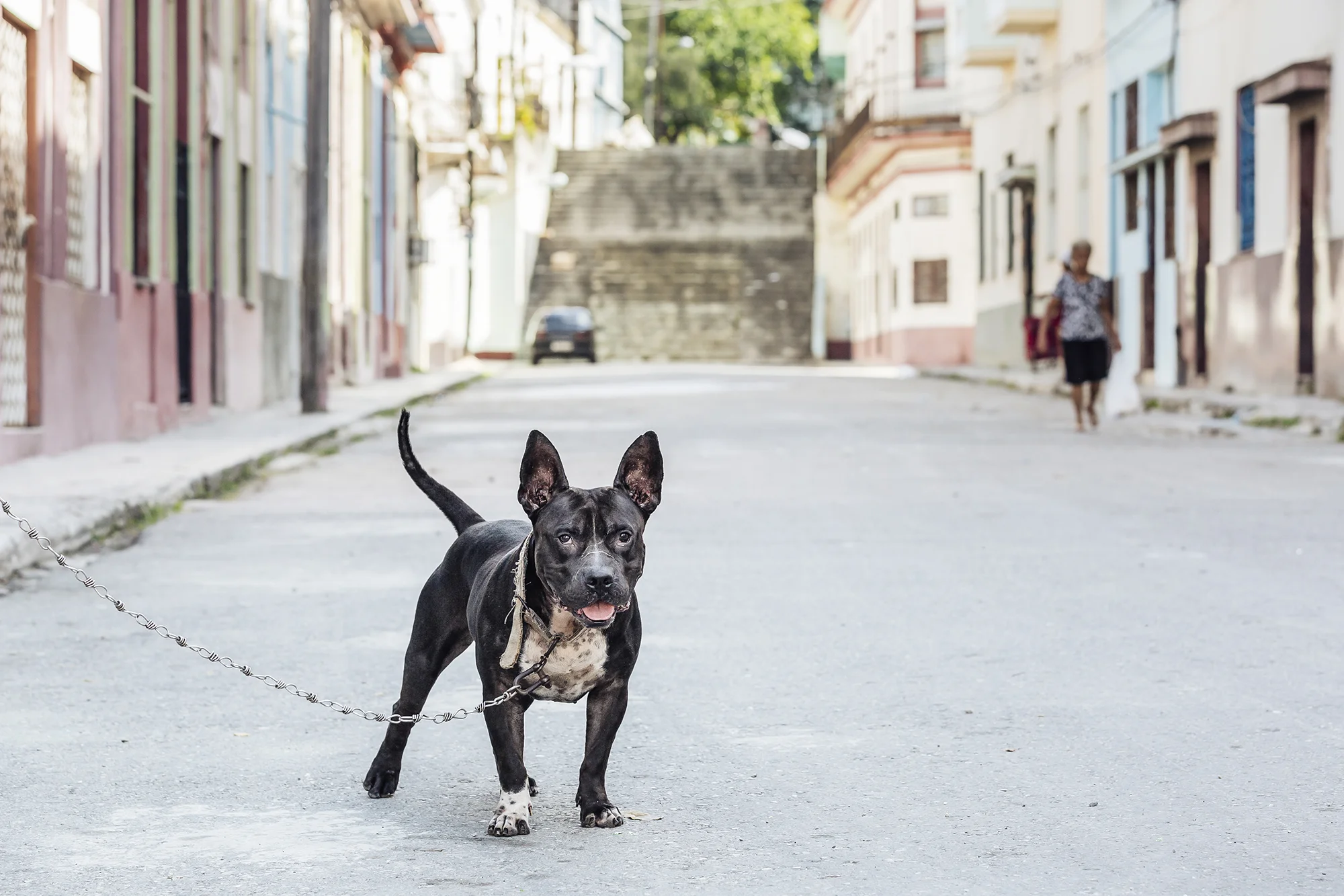  Centro Habana 