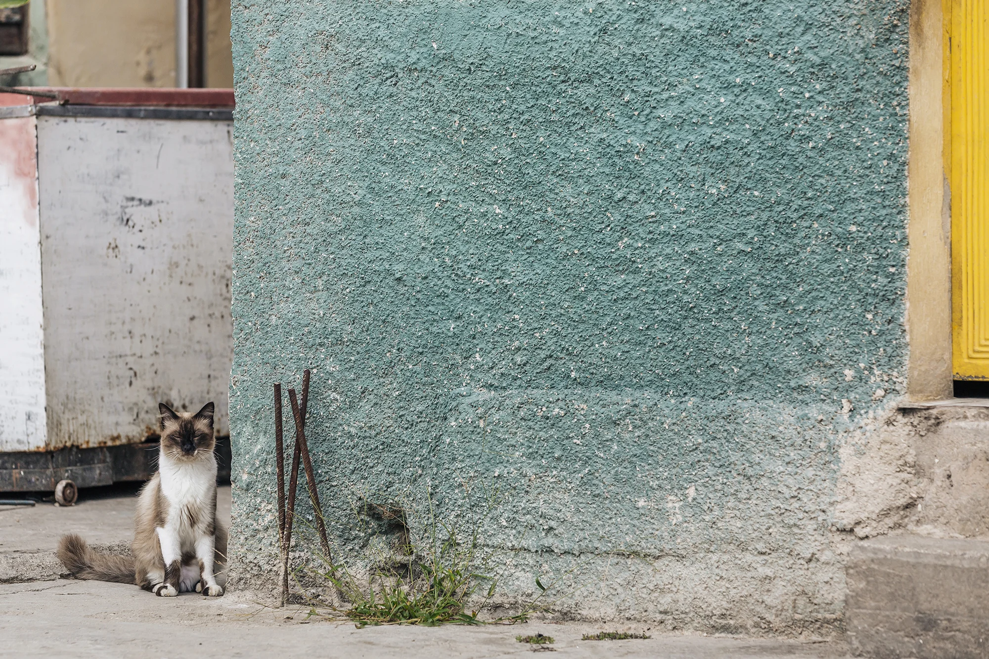  Matanzas, Matanzas © Emmy Park 