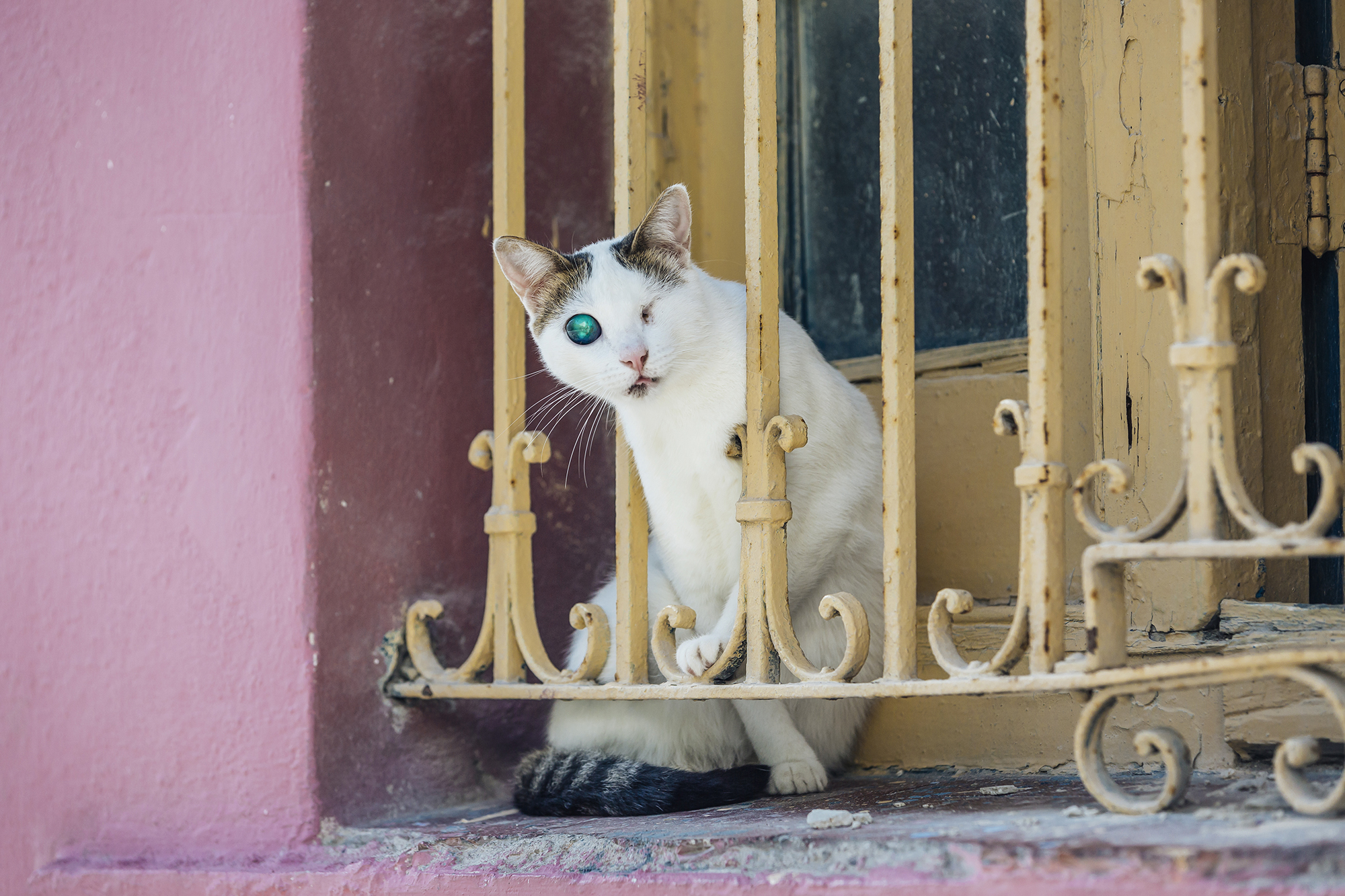  Centro Habana, La Habana © Emmy Park 