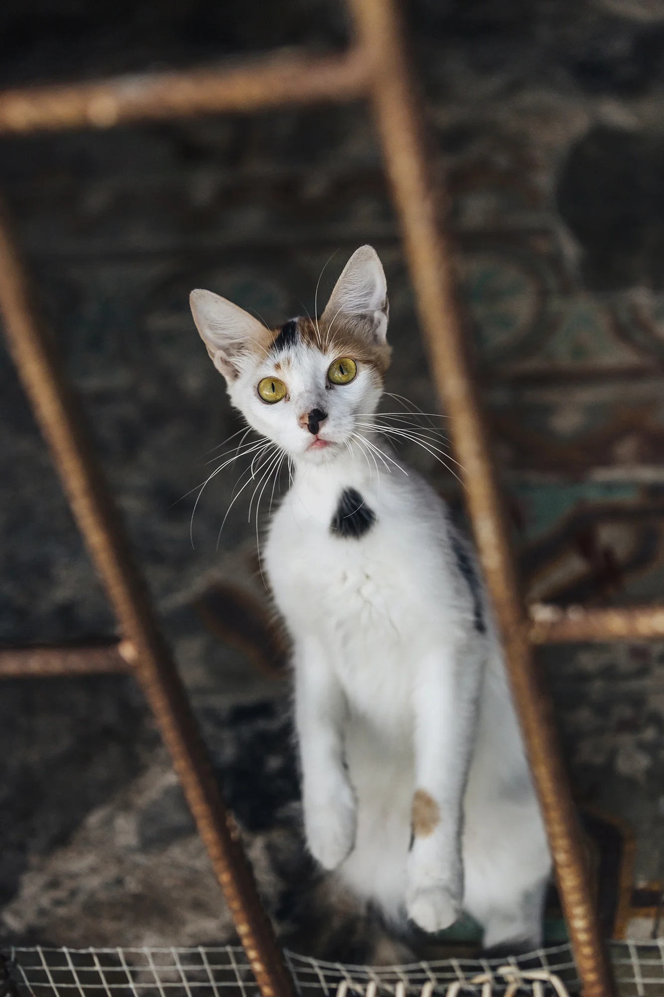  Matanzas, Matanzas © Emmy Park 