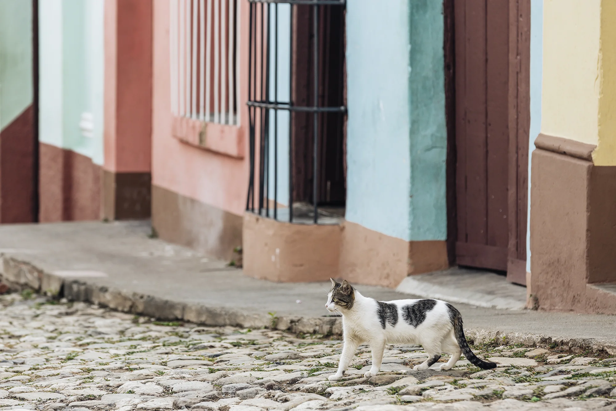  Trinidad, Sancti Spíritus © Emmy Park 