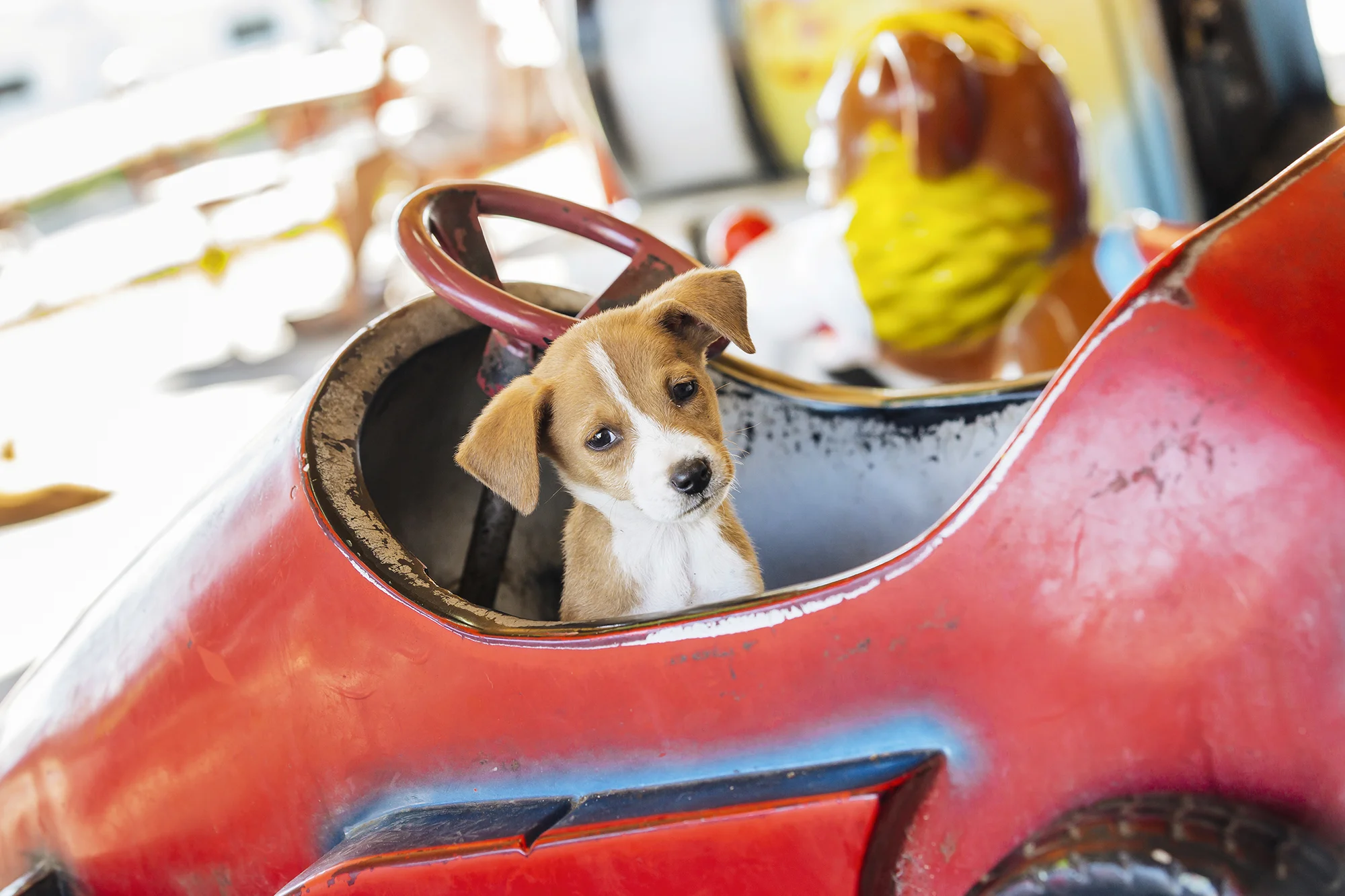  Ermita de Monserrate, Matanzas, Matanzas © Emmy Park 