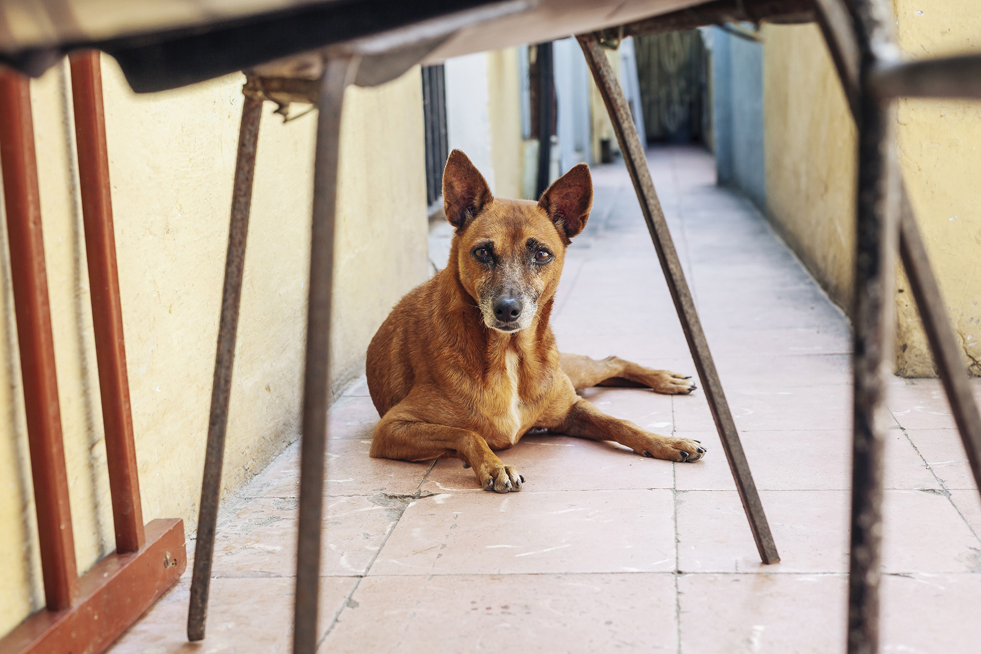  Centro Habana, La Habana © Emmy Park 